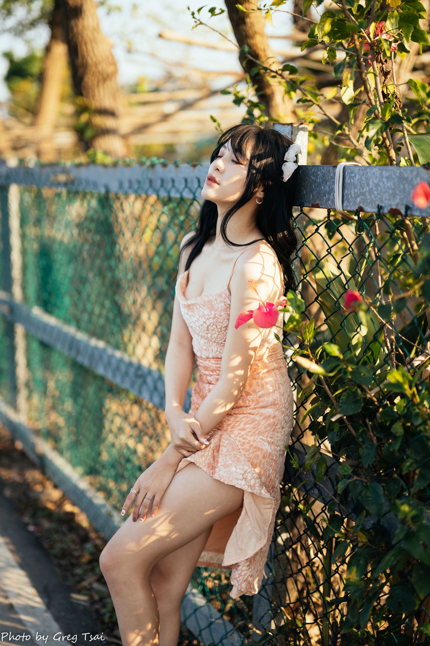 Ashley - 忠义/(87P)