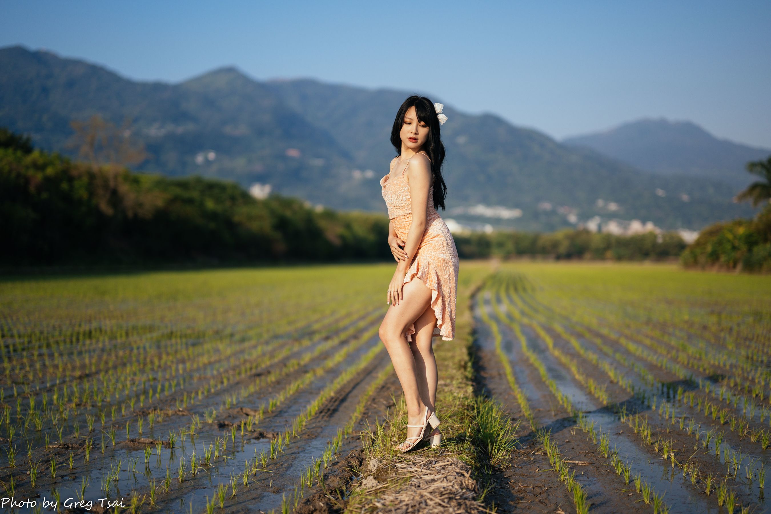 Ashley - 忠义/(87P)