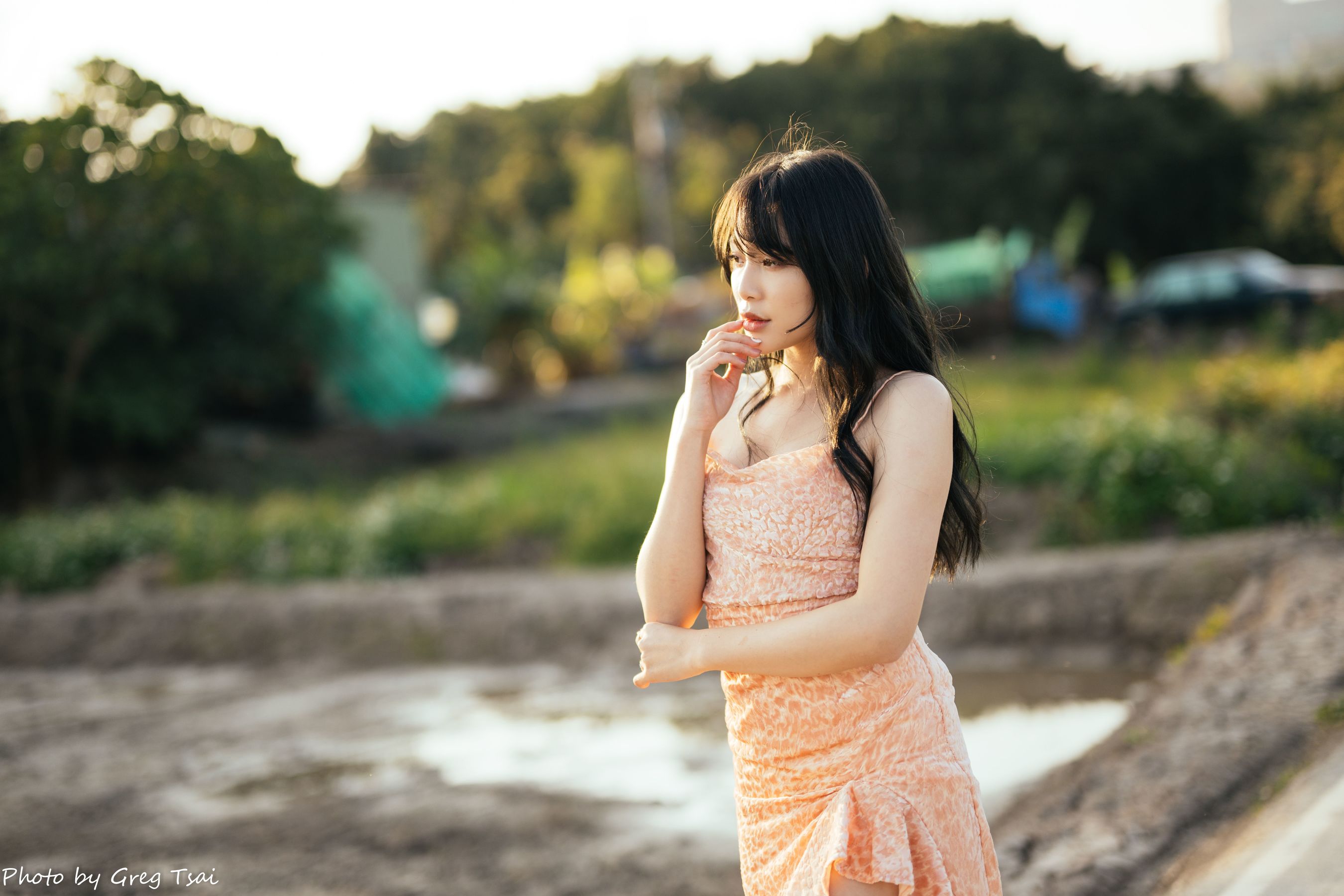Ashley - 忠义/(87P)