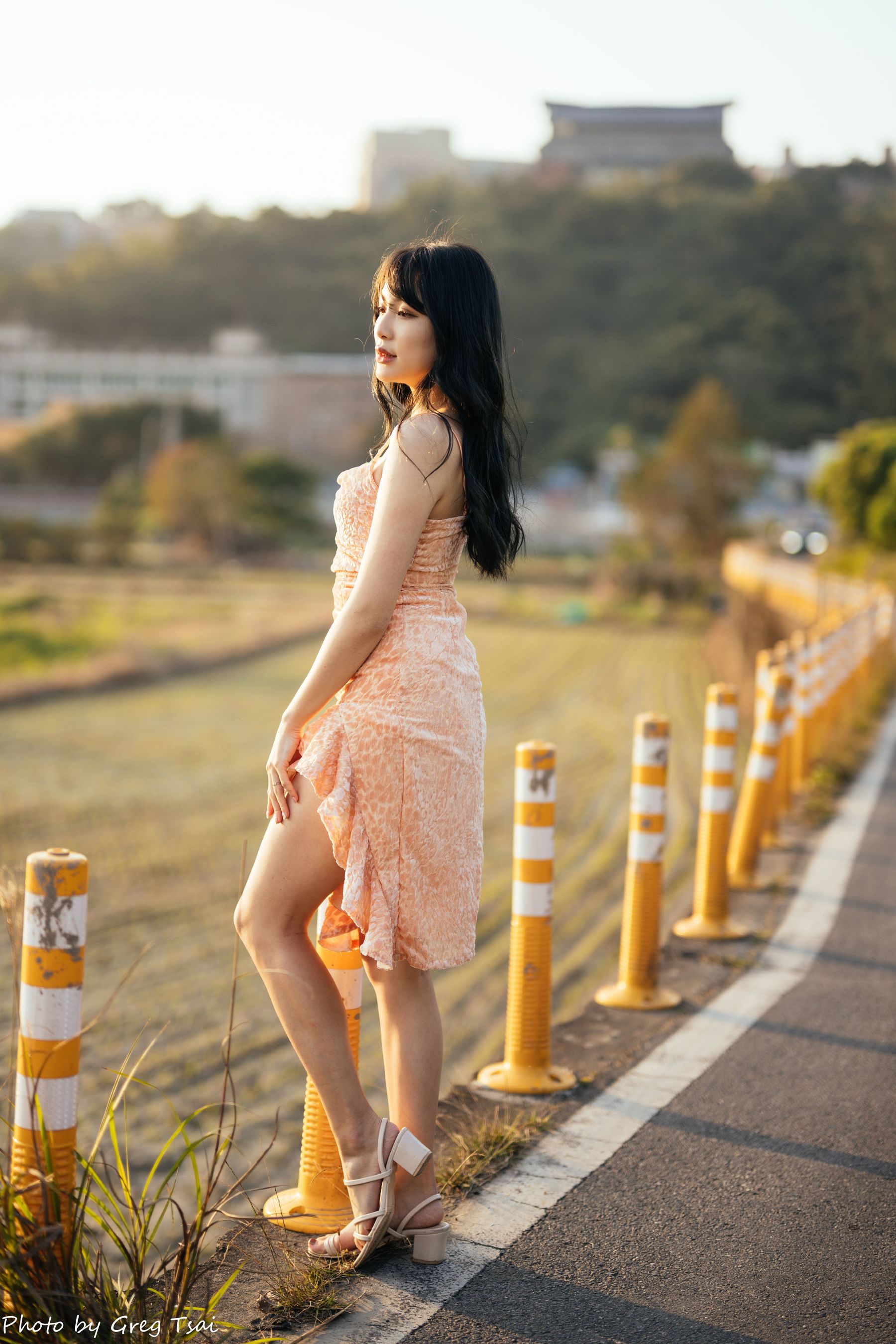 Ashley - 忠义/(87P)