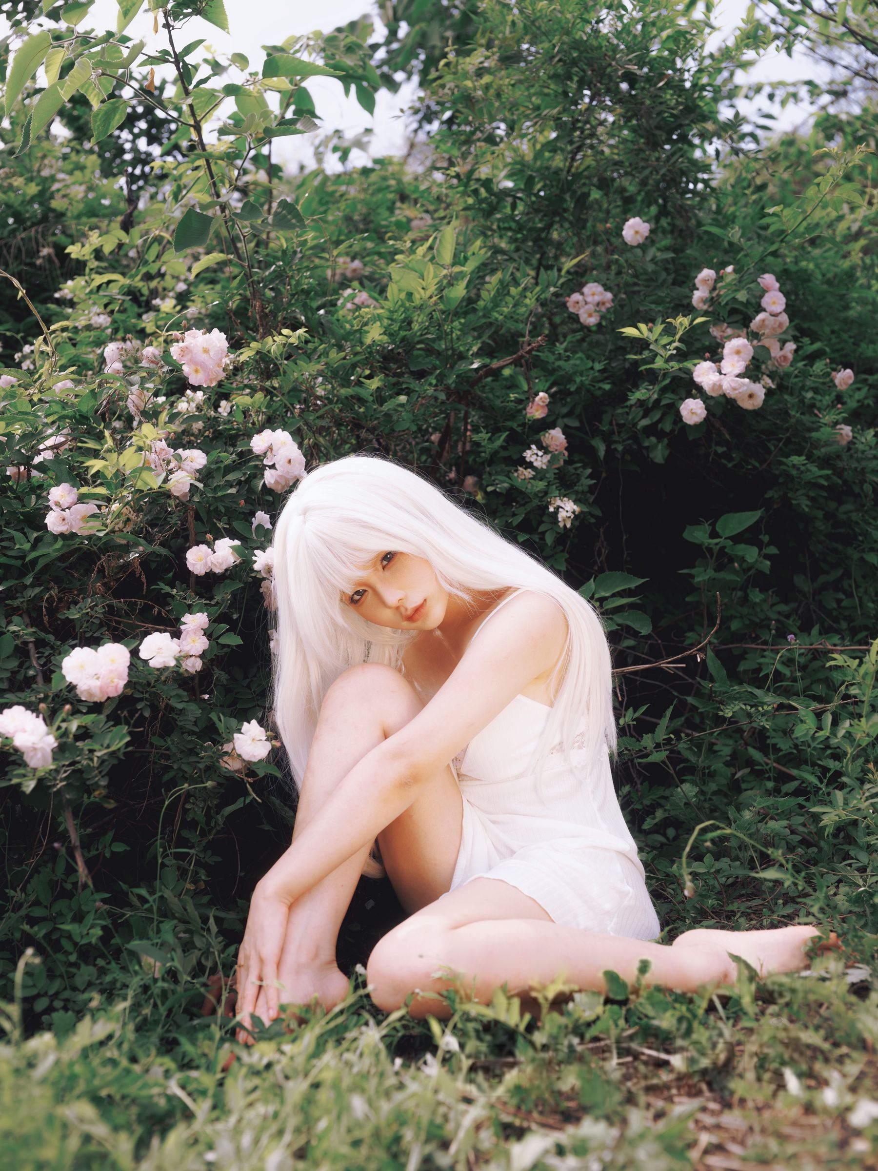 动漫博主蠢沫沫 - 绳 白发/(16P)