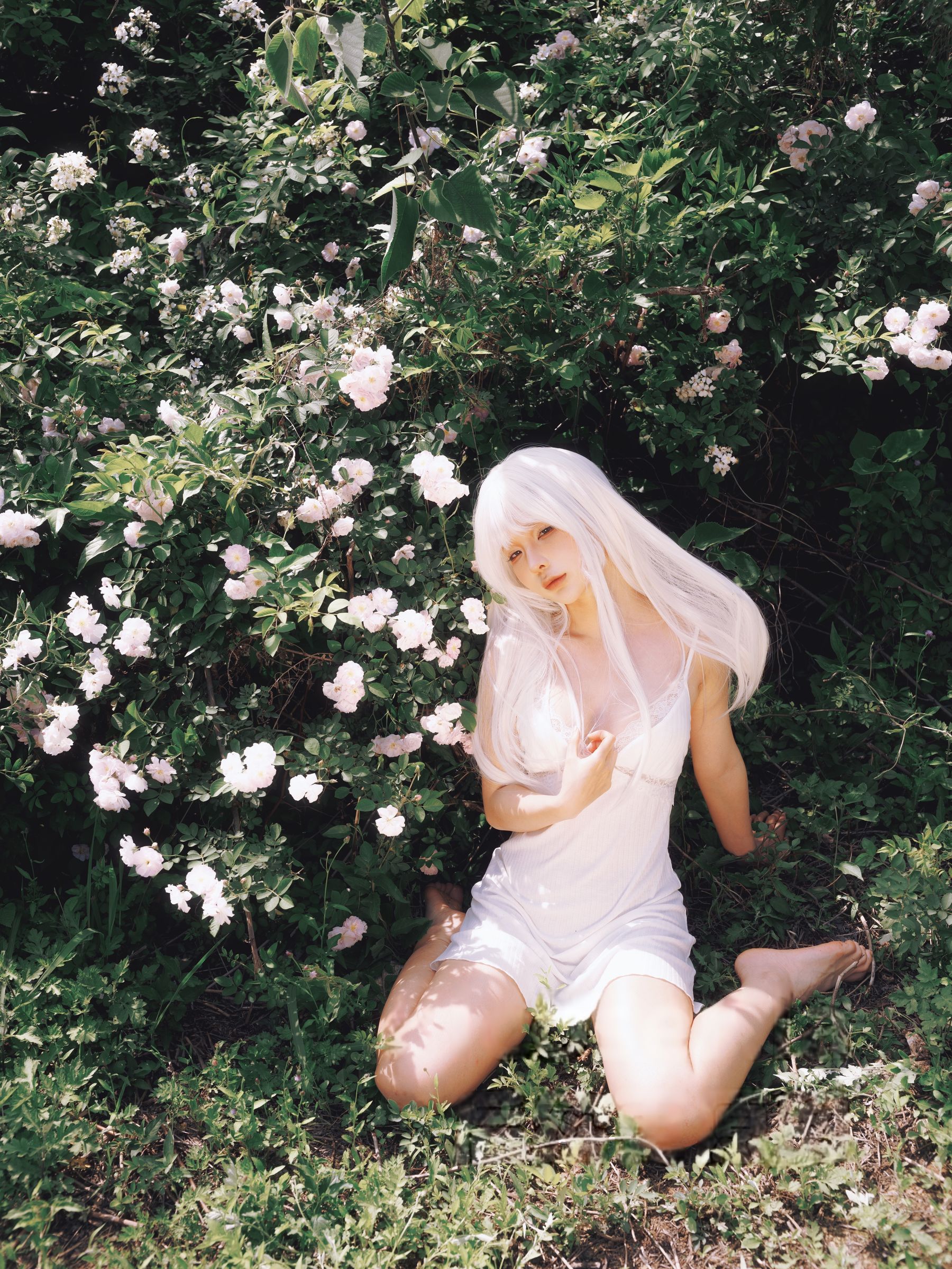 动漫博主蠢沫沫 - 绳 白发/(16P)