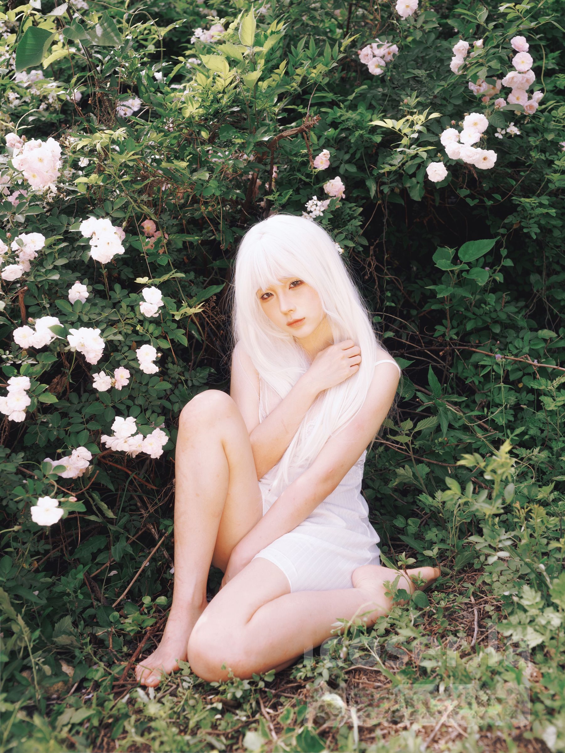 动漫博主蠢沫沫 - 绳 白发/(16P)