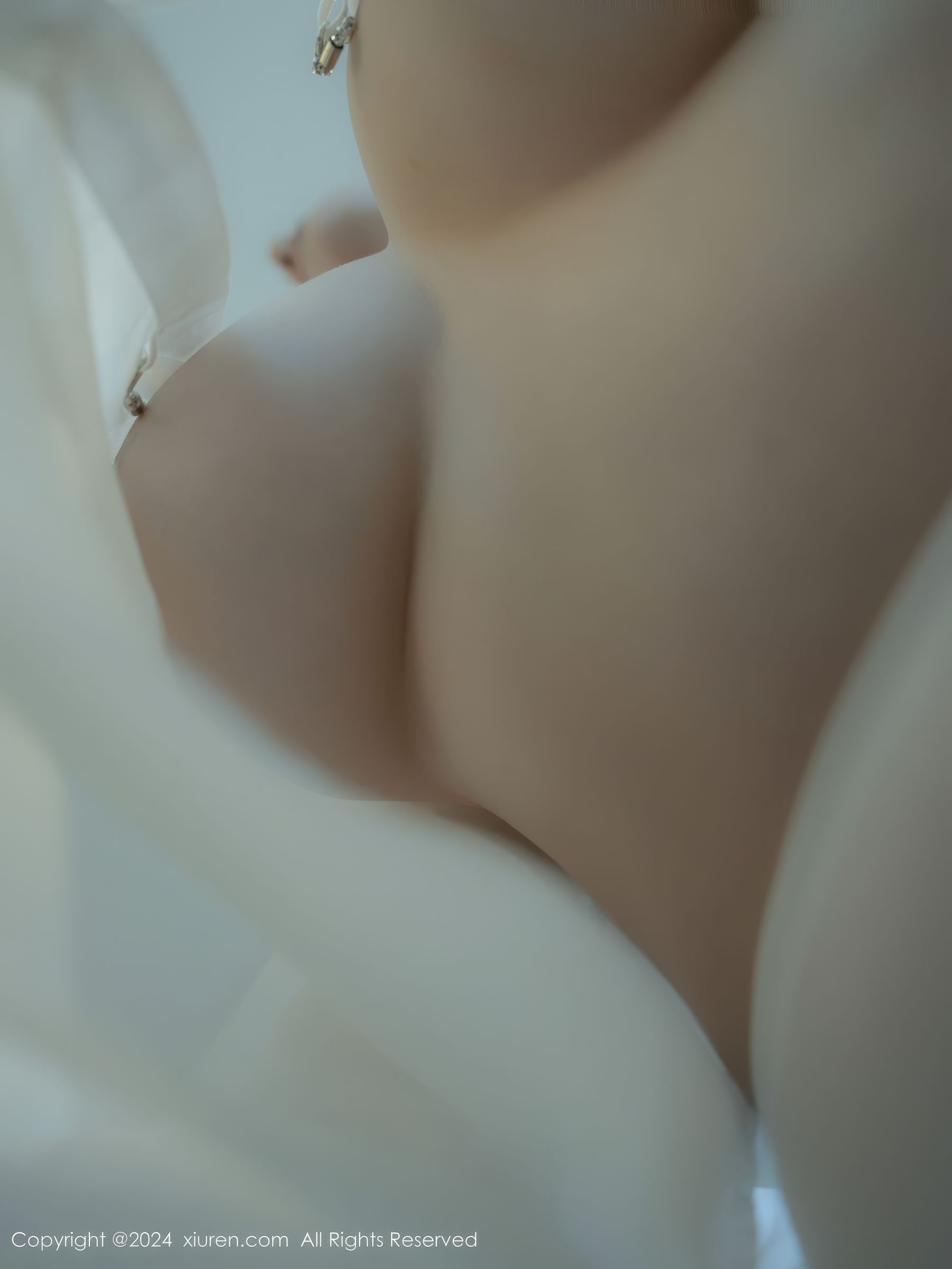 [秀人XiuRen] 2024.12.27 No.9667 袁圆/(72P)