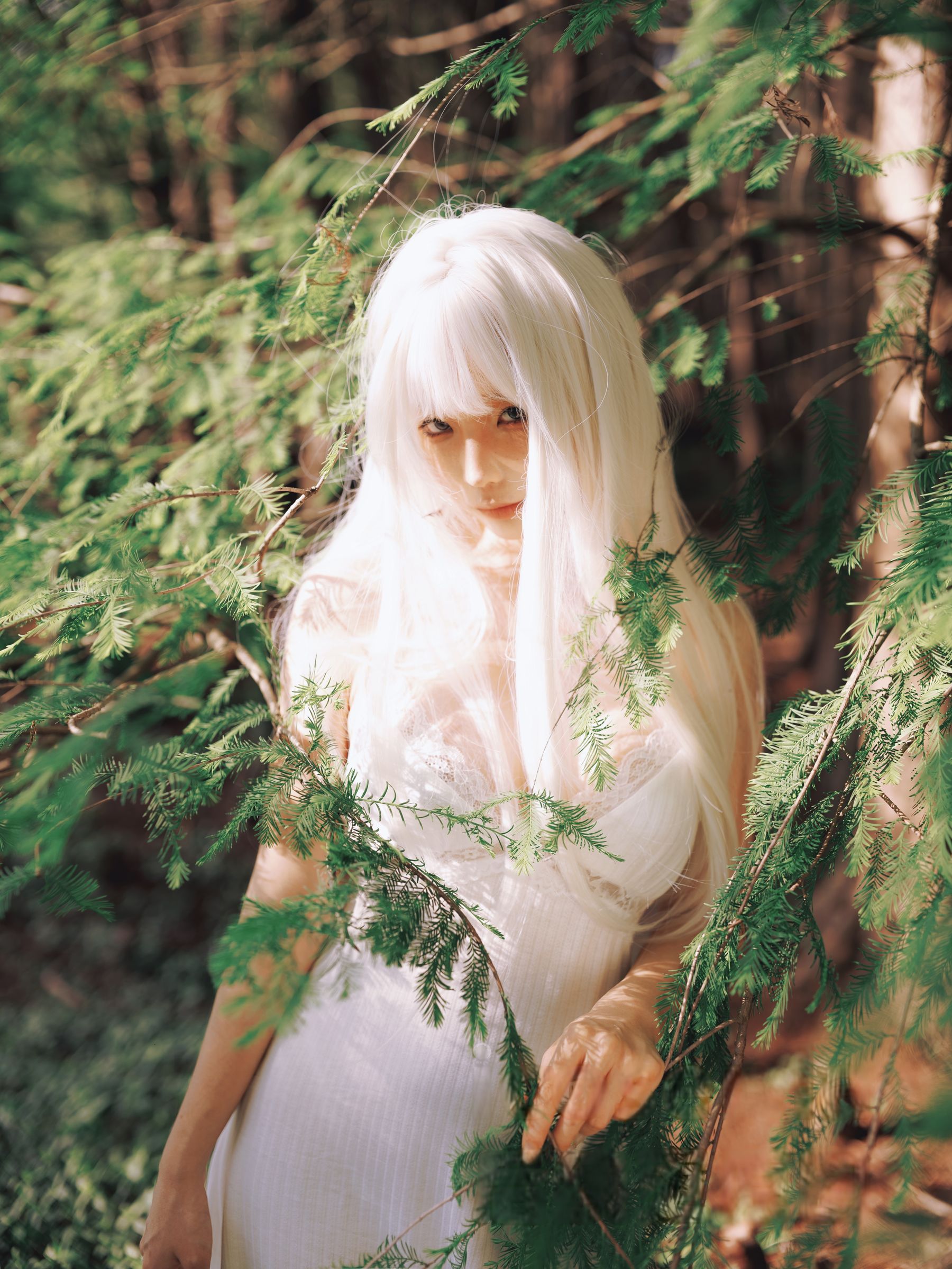 动漫博主蠢沫沫 - 绳 白发/(16P)