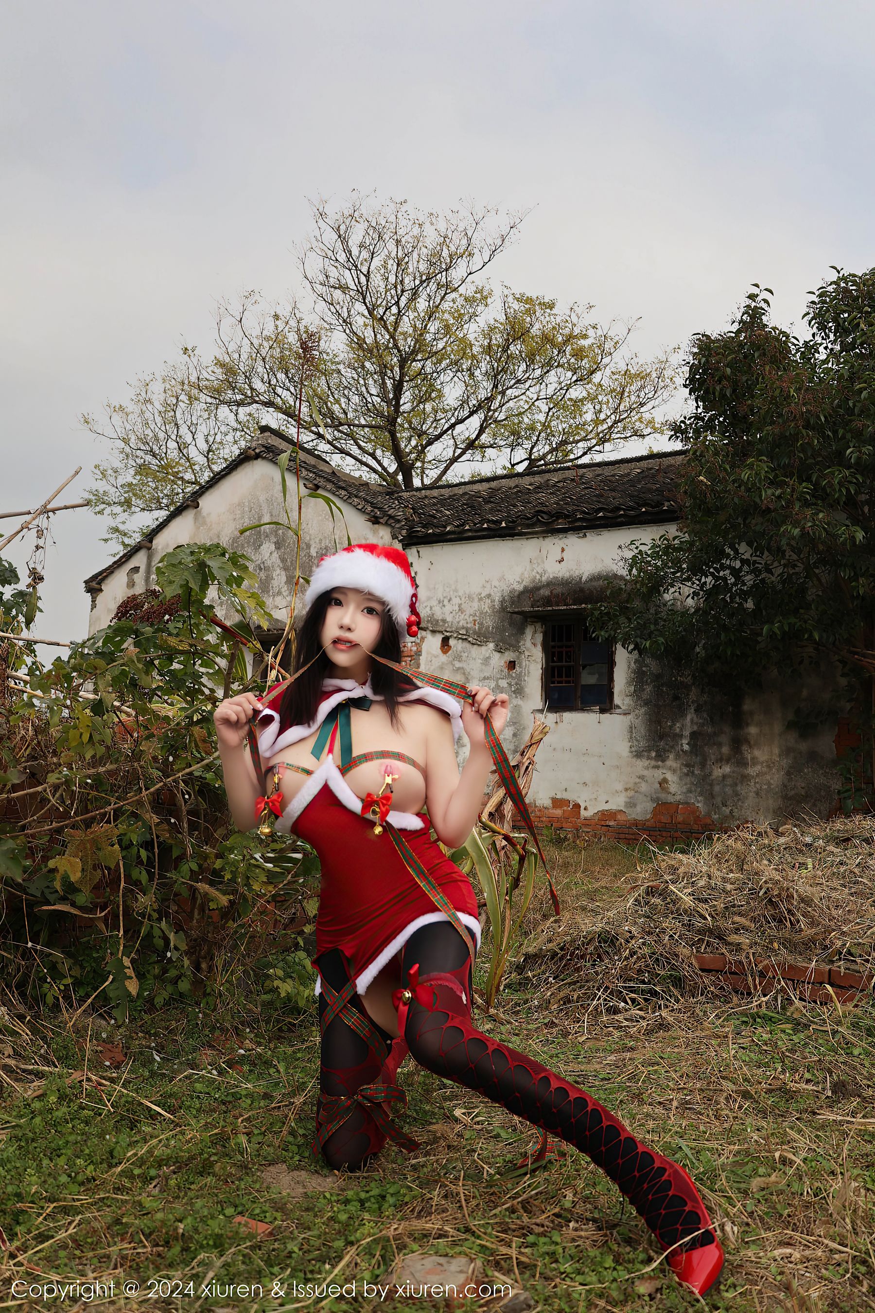 [秀人XiuRen] 2024.12.20 No.9630 小薯条nienie/(70P)