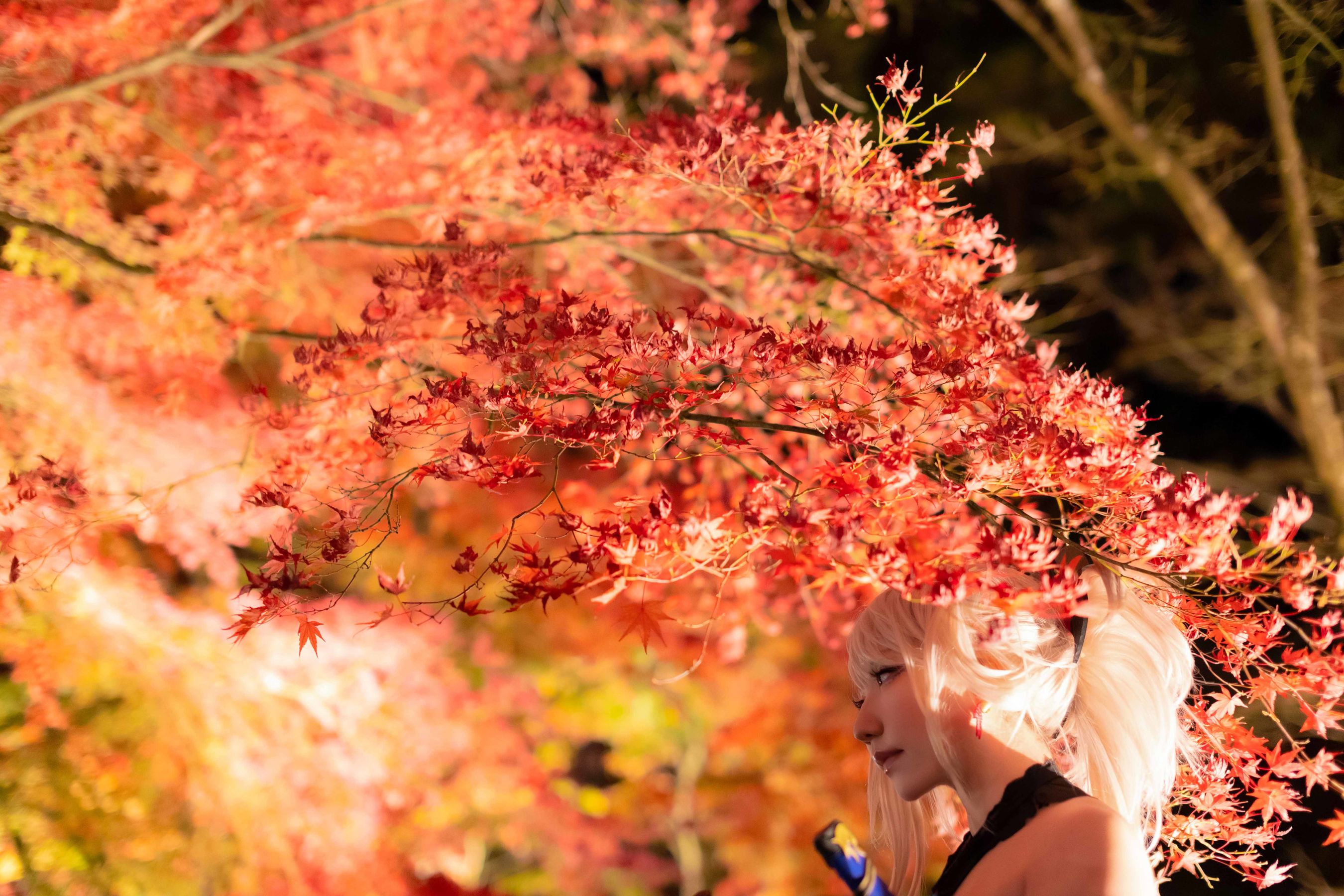 [Cosplay] [Shooting Star's ( SAKUサク )] - The real swordsman Musashi 本格剣豪武蔵 - 1/(133P)
