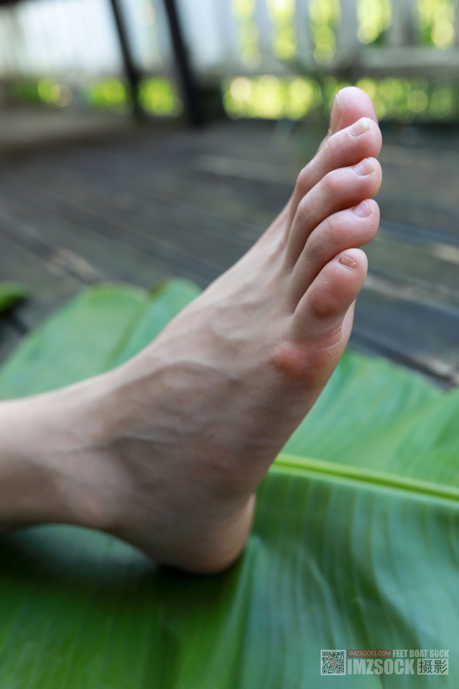 [MZSOCK]爱美足 No.119 可可/(76P)