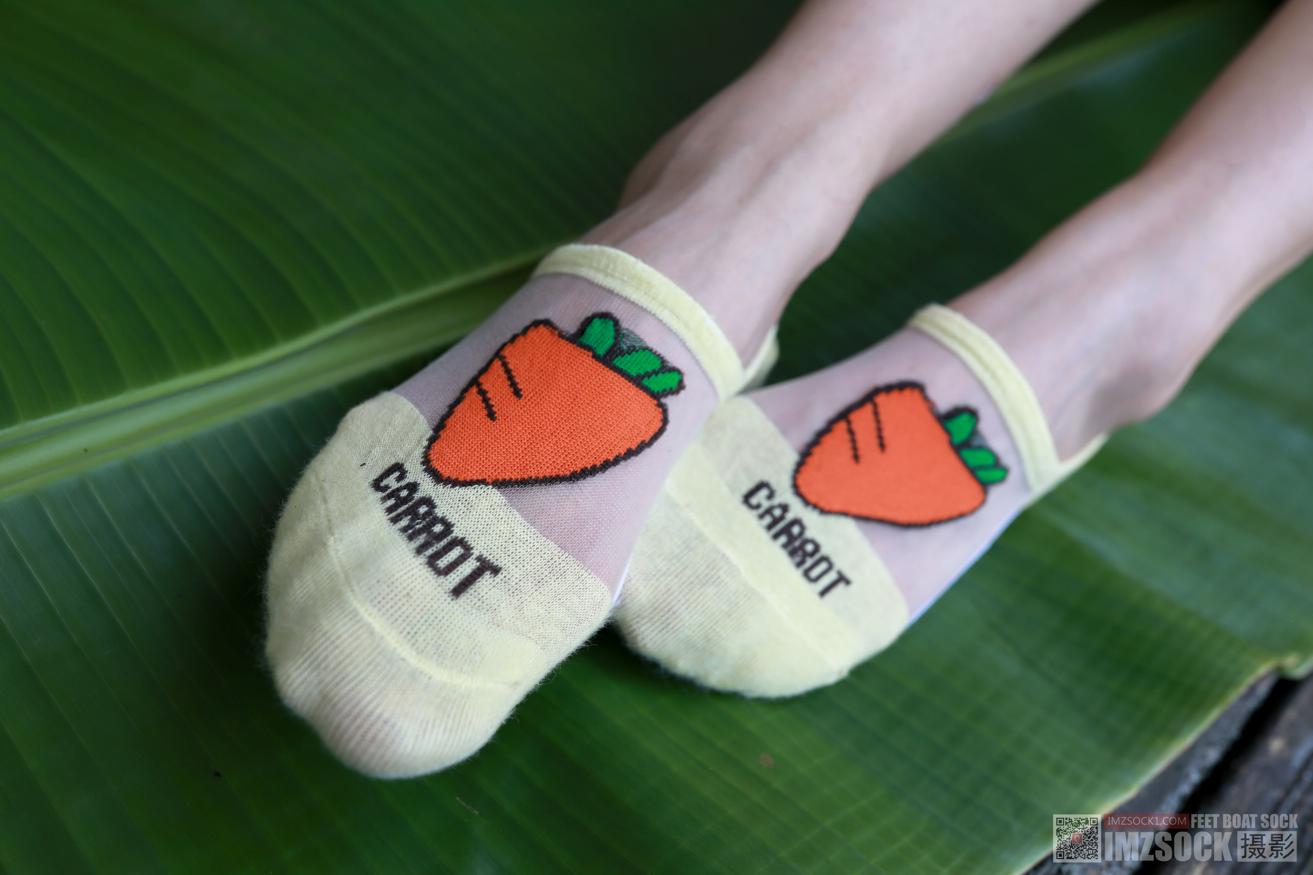 [MZSOCK]爱美足 No.119 可可/(76P)