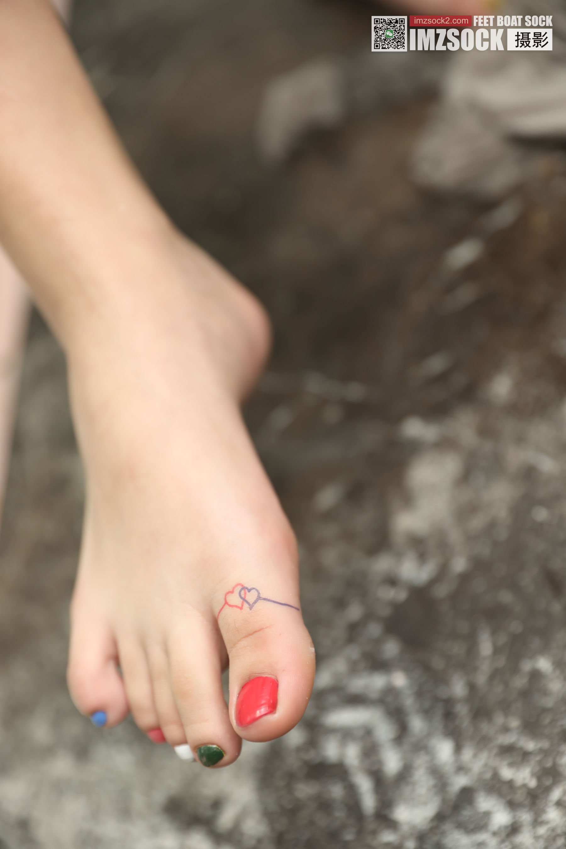 [MZSOCK]爱美足 No.188 Ella/(28P)