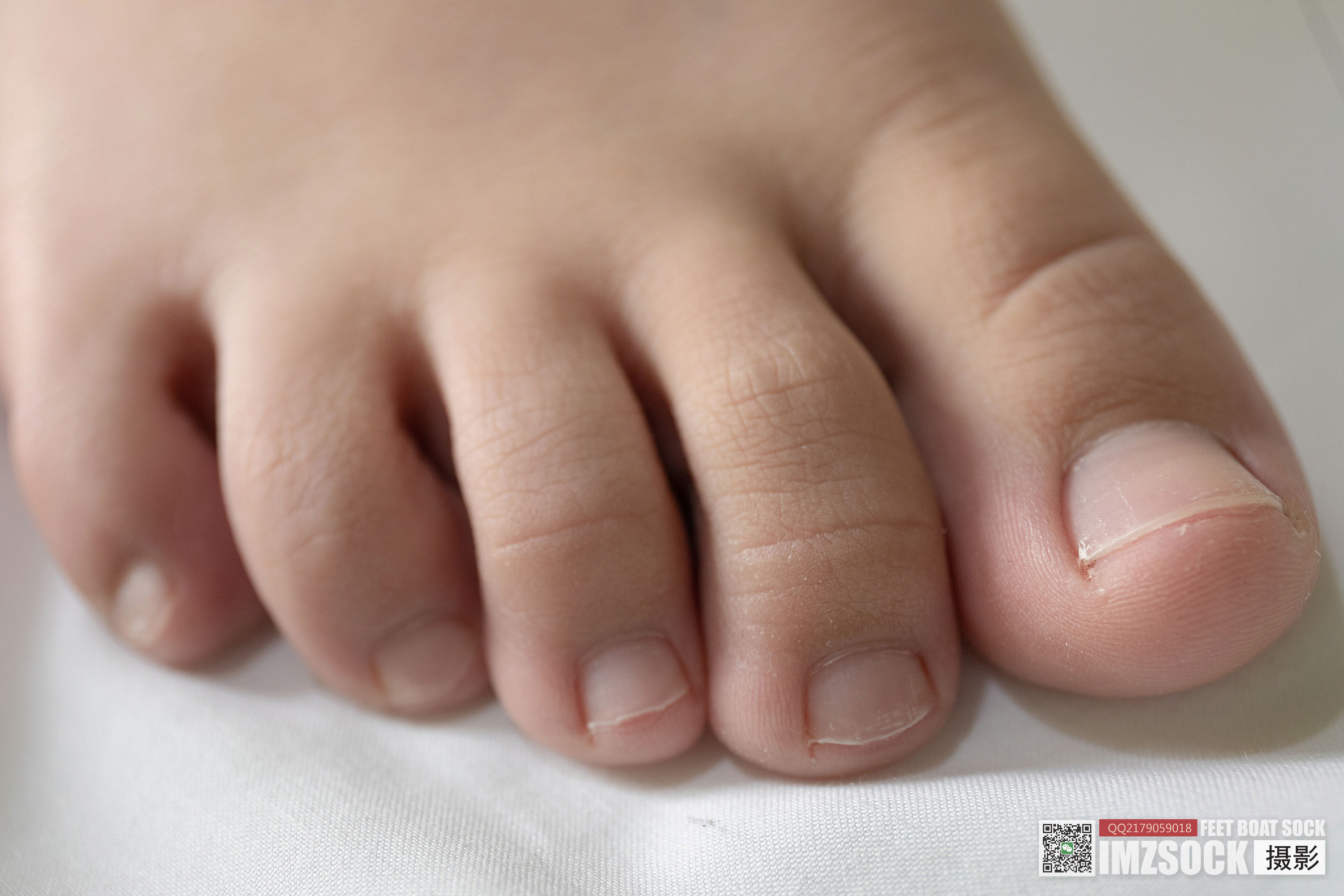 [MZSOCK]爱美足 No.160 小楠/(98P)