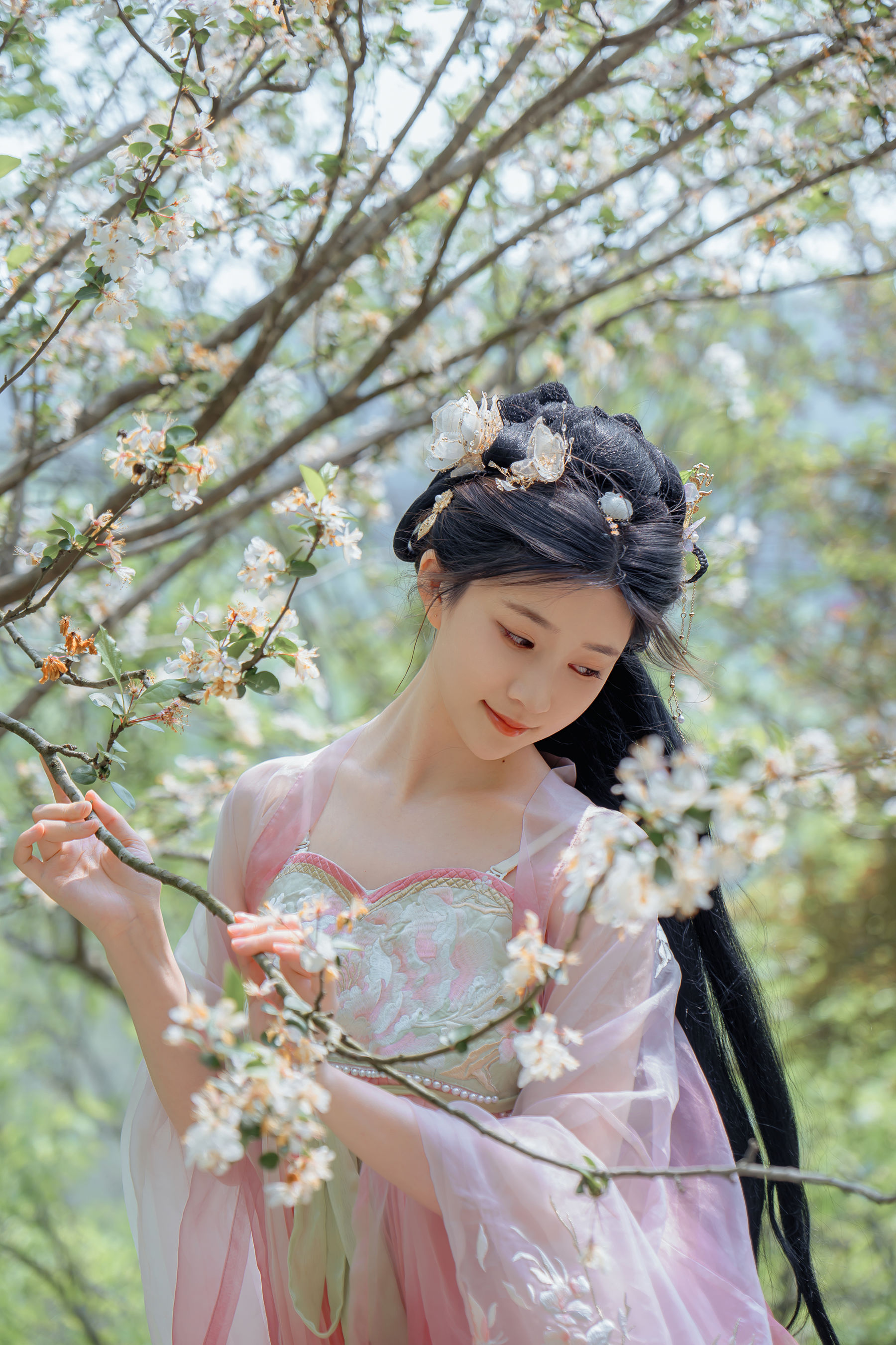 Nnian - 海棠仙/(45P)