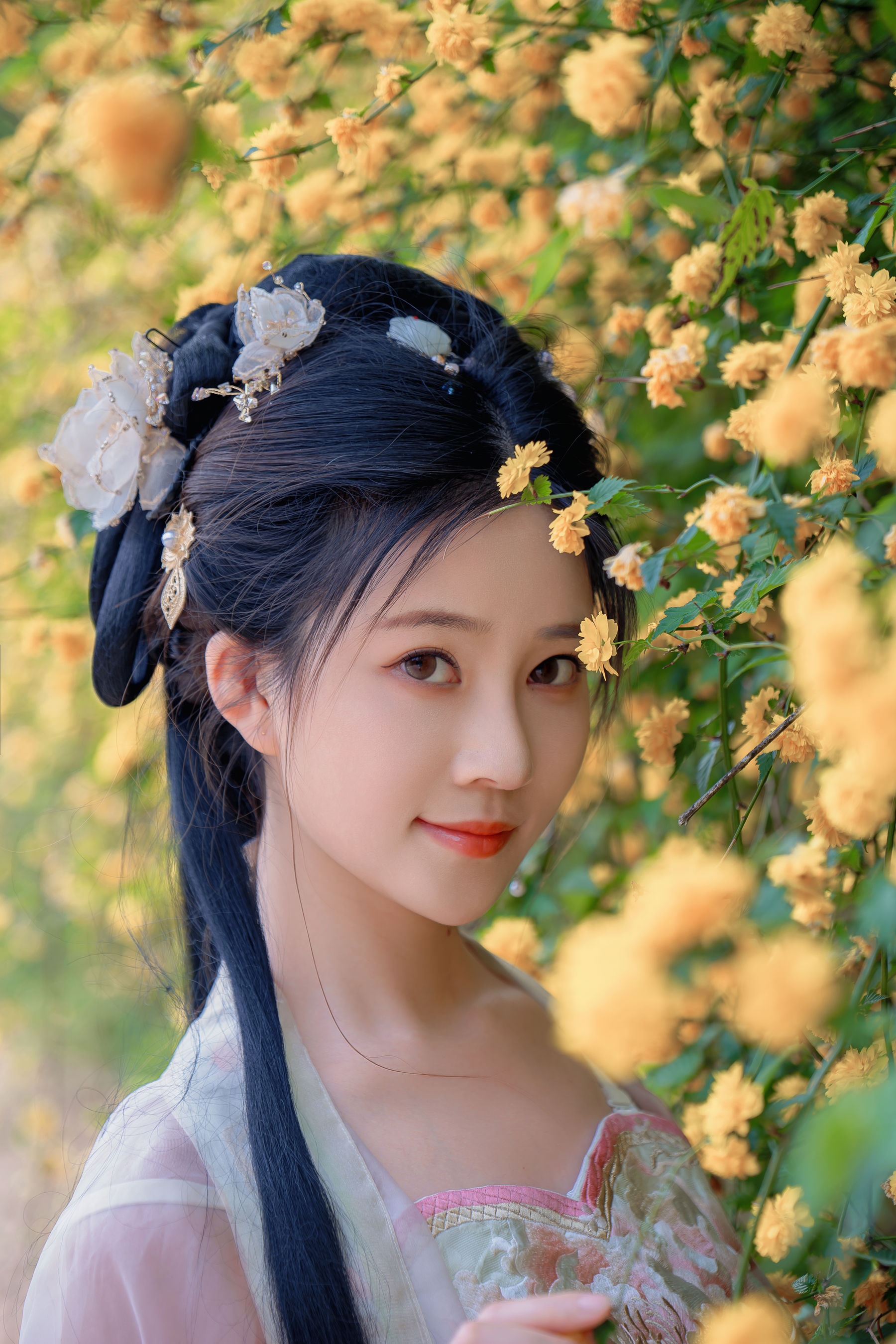 Nnian - 海棠仙/(45P)