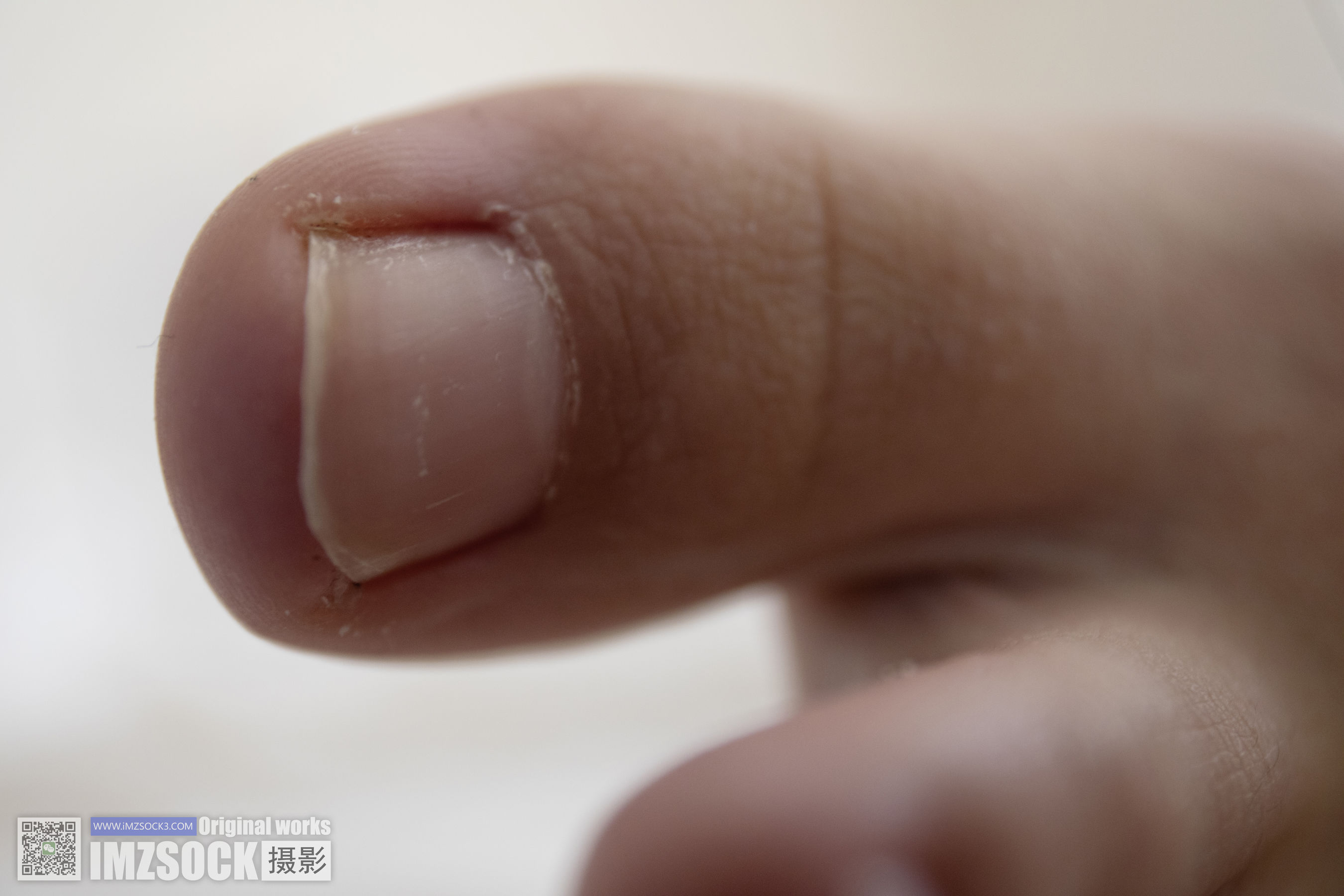 [MZSOCK]爱美足 No.232 琴子/(168P)