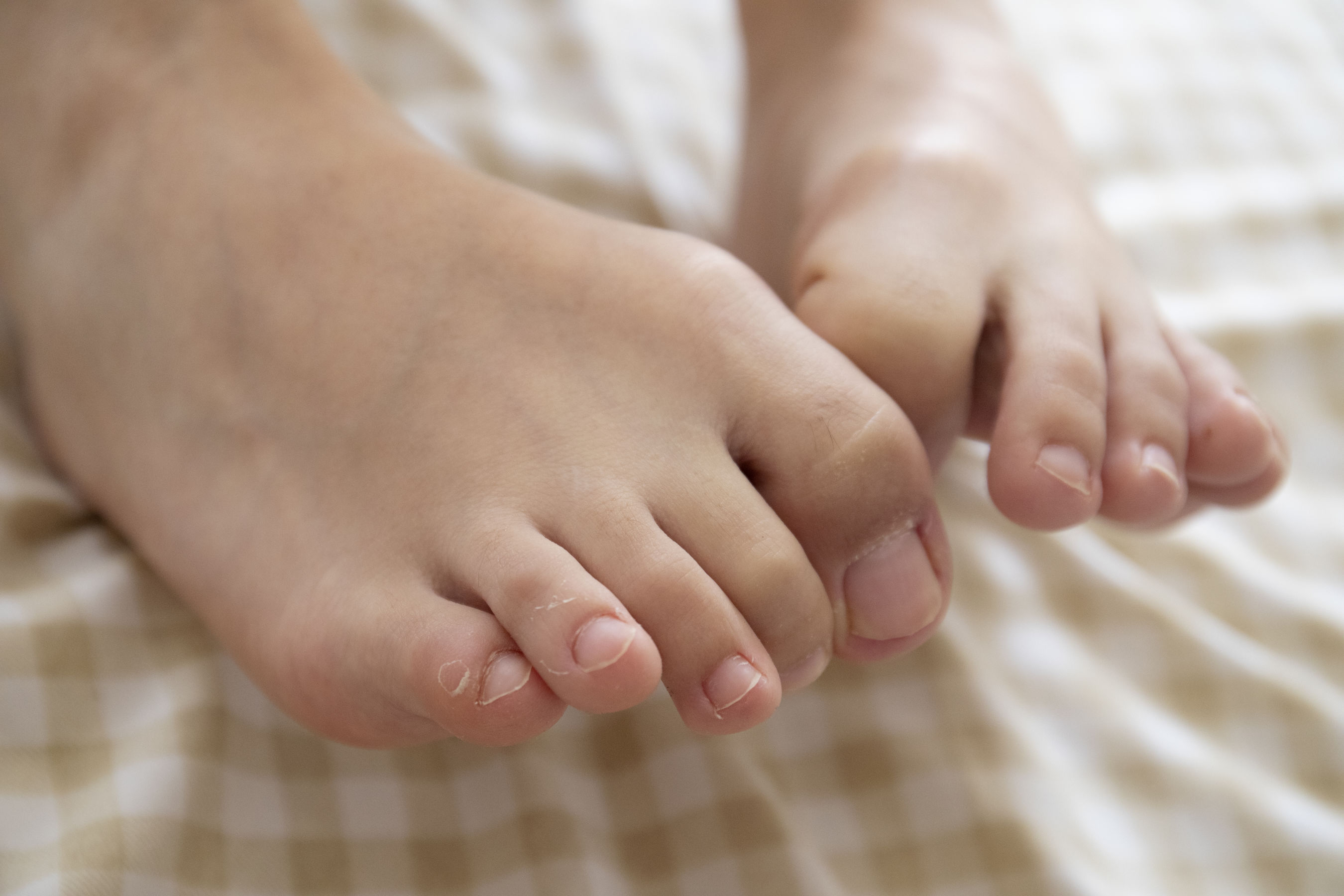 [MZSOCK]爱美足 No.232 琴子/(168P)