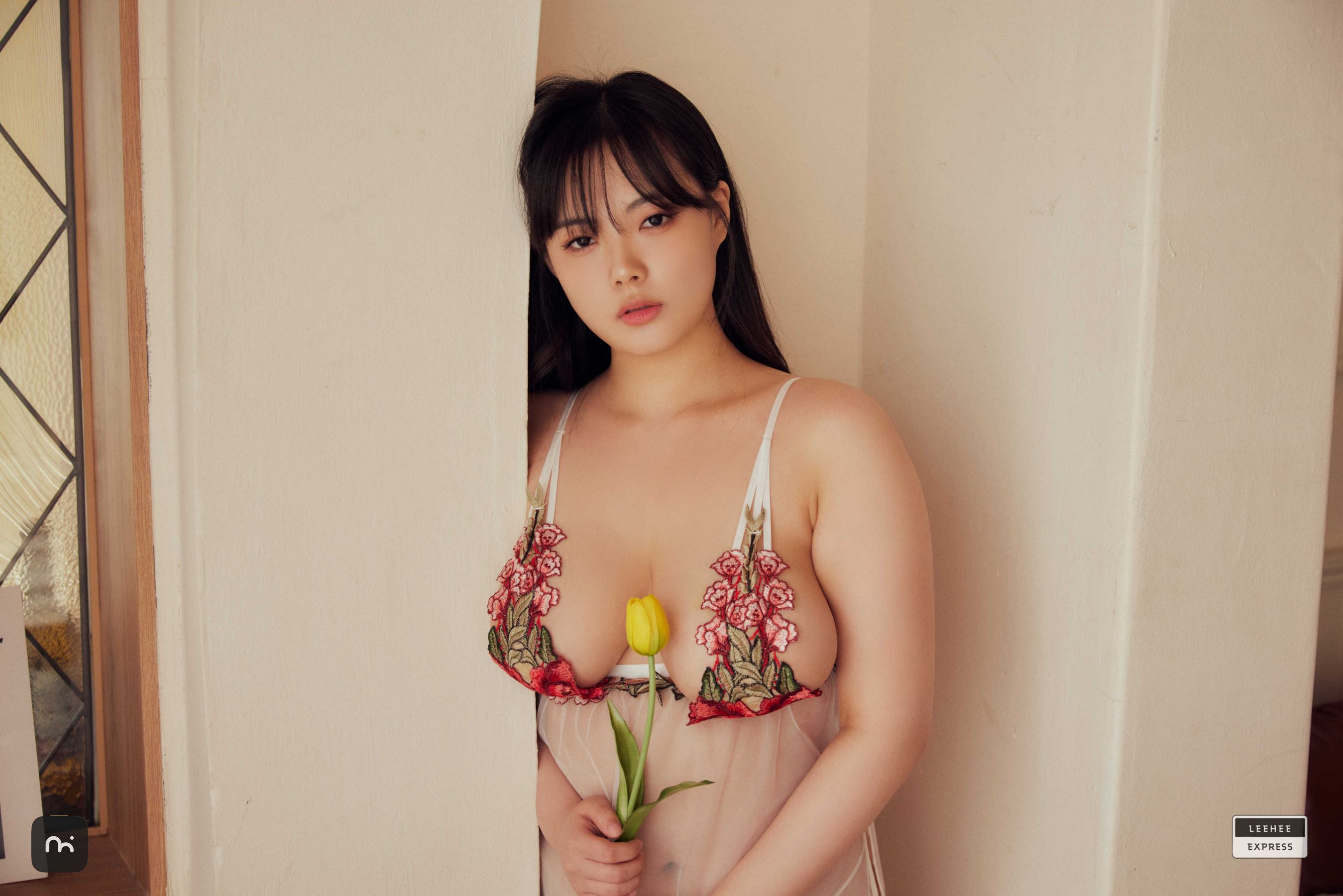 [LEEHEE EXPRESS] LEHF-250A - Roah/(60P)