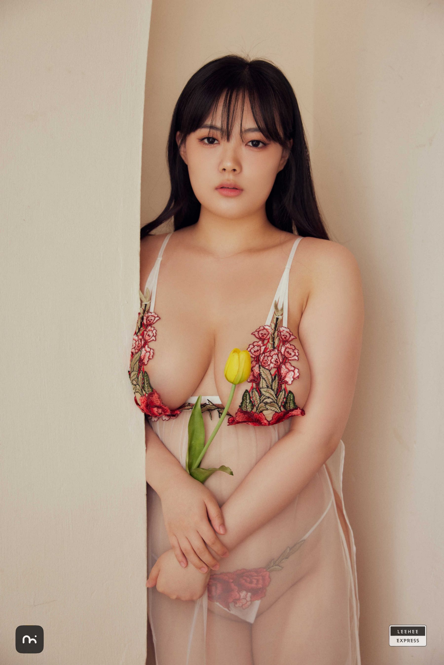 [LEEHEE EXPRESS] LEHF-250A - Roah/(60P)