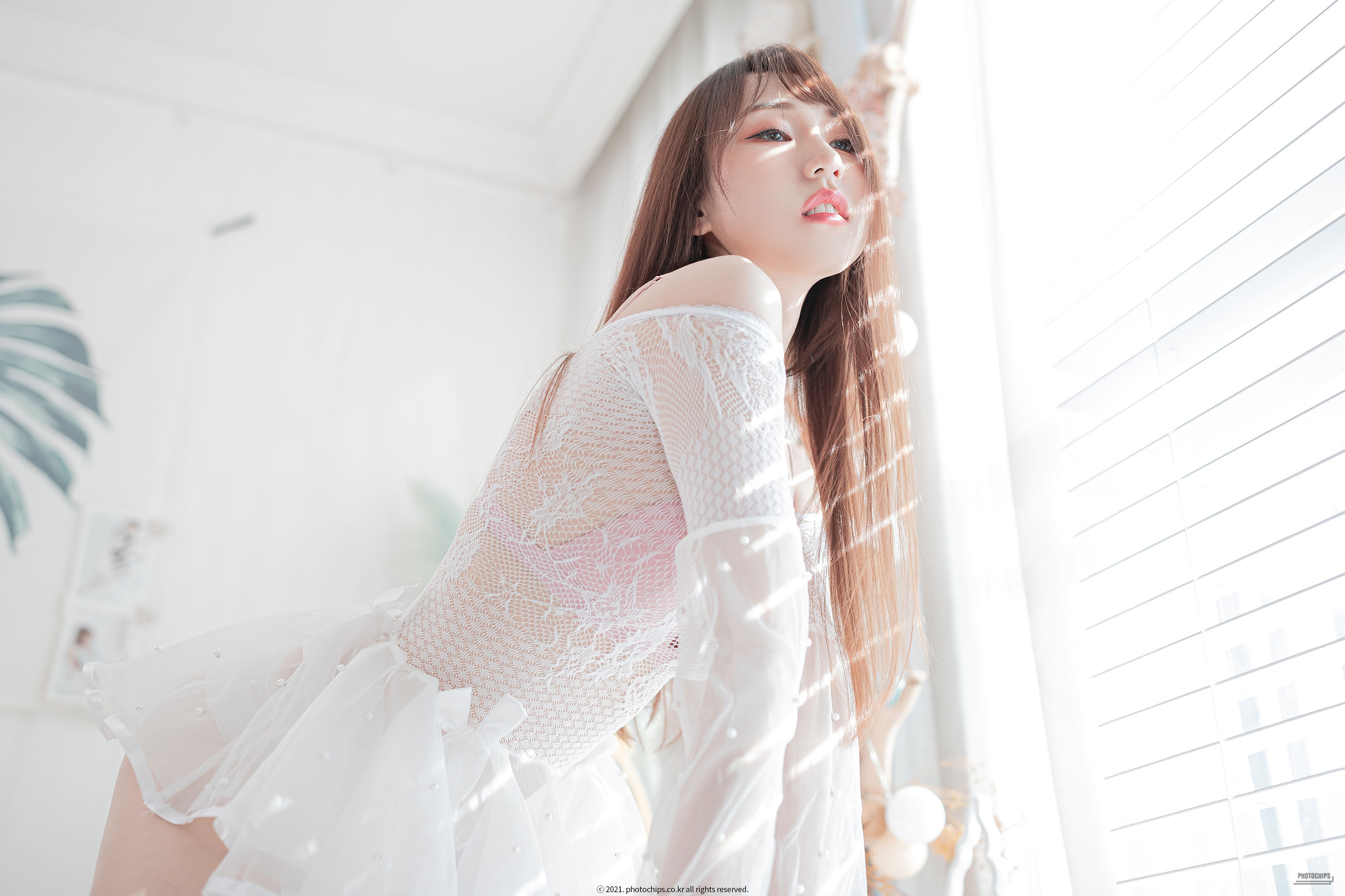 [Photochips] Usagi - White panty/(85P)