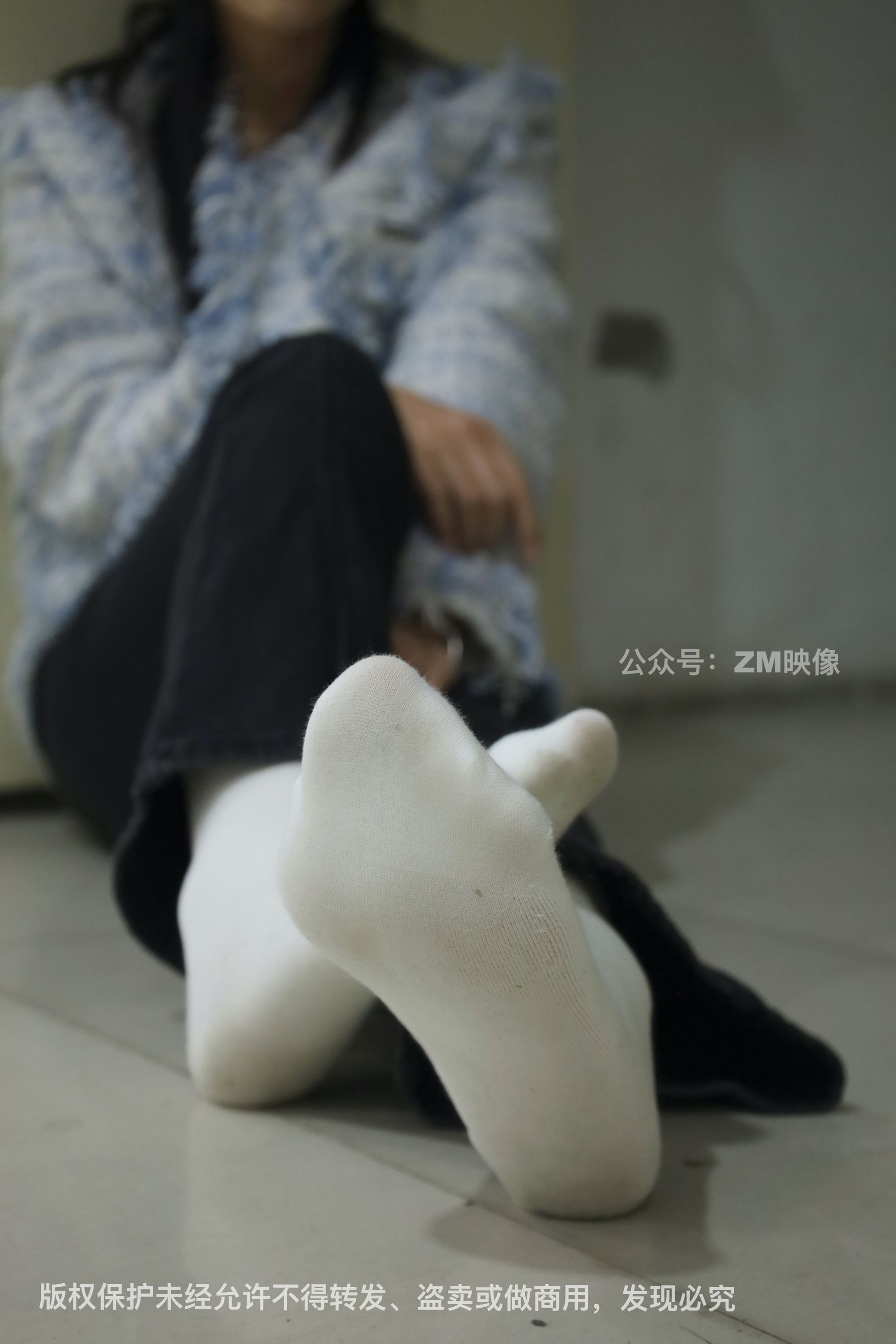 [织梦映像] 园林序曲-人面桃花相映红 超市-完整版/(300P)