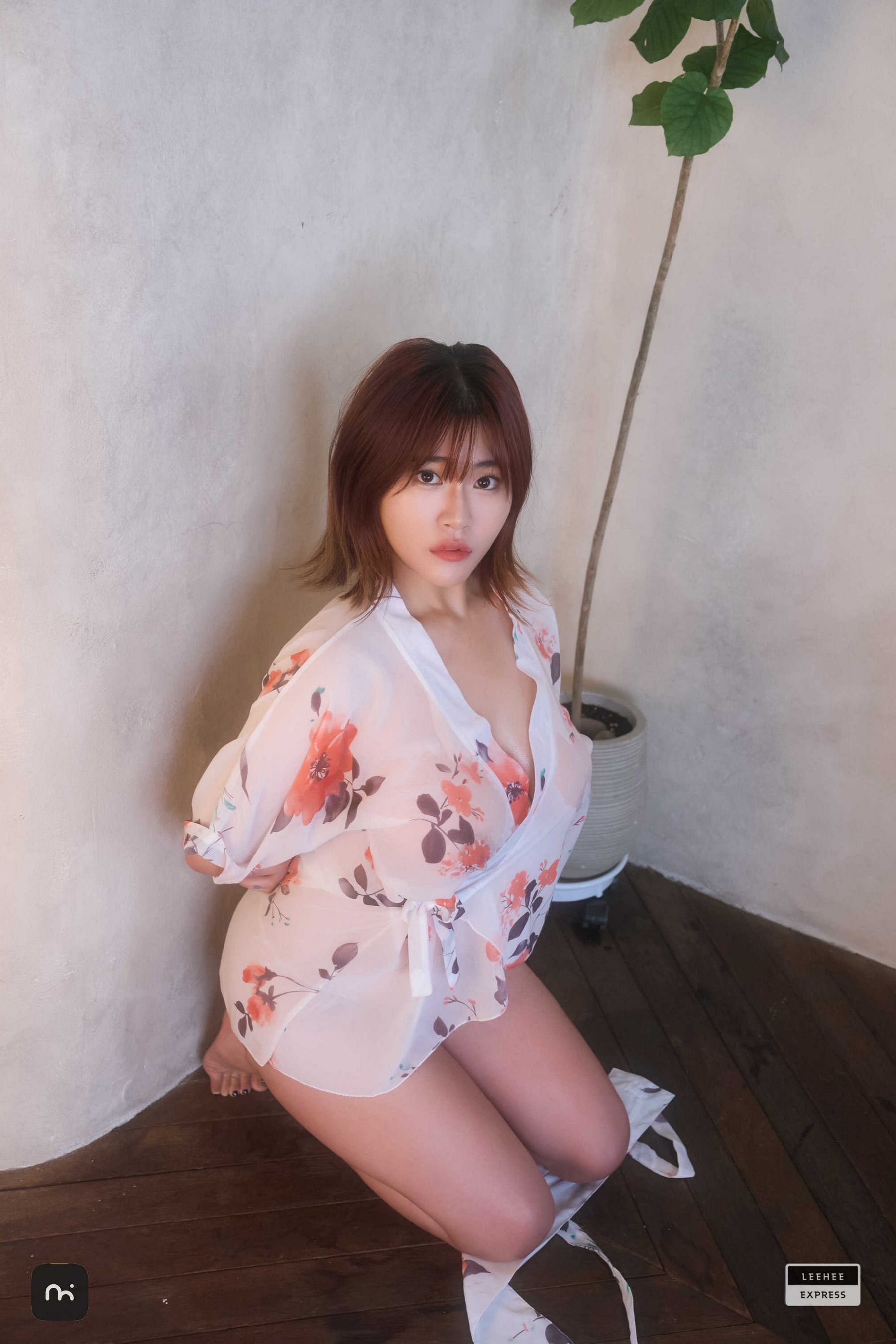 [LEEHEE EXPRESS] LEHF-251A - Bani/(50P)