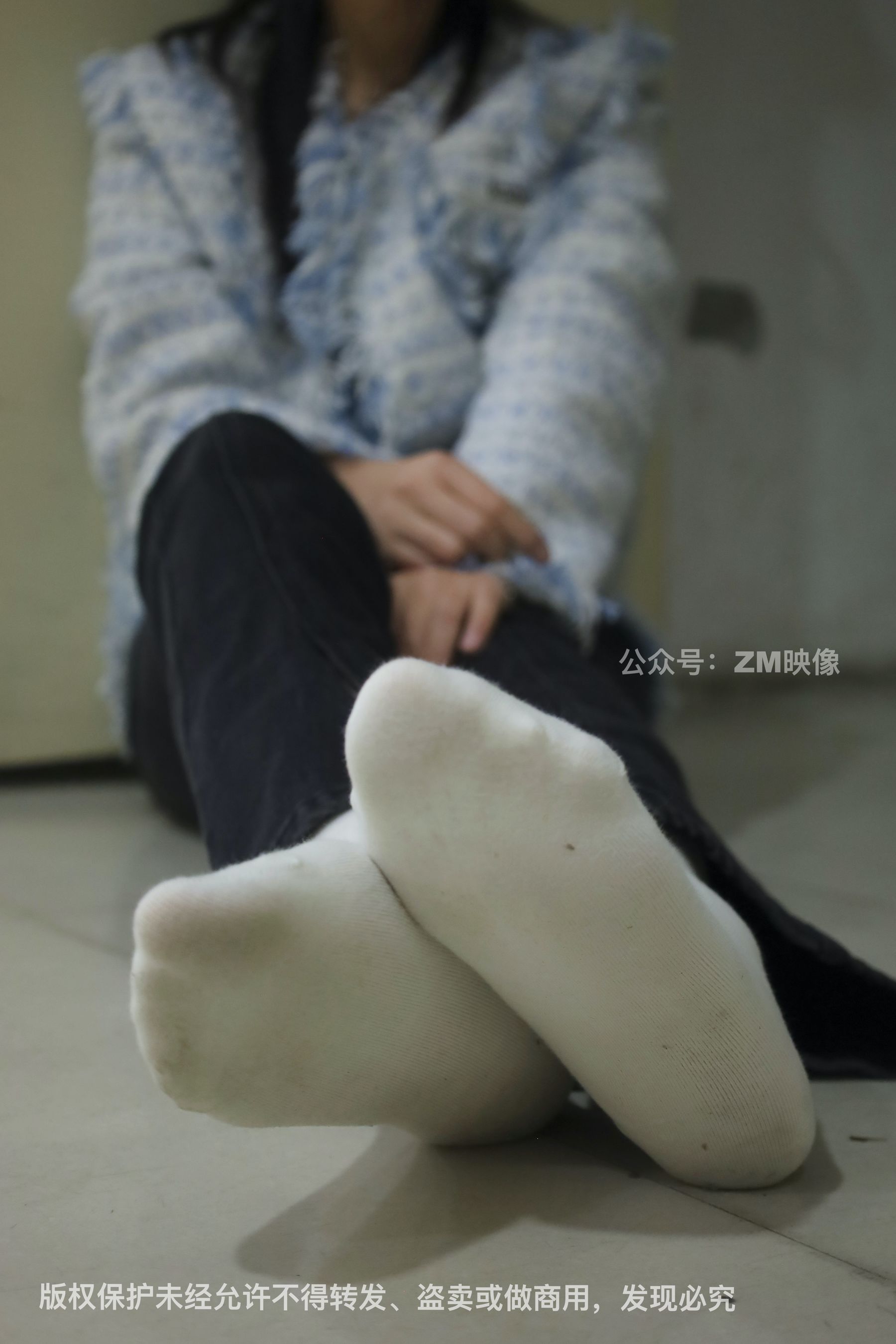 [织梦映像] 园林序曲-人面桃花相映红 超市-完整版/(300P)