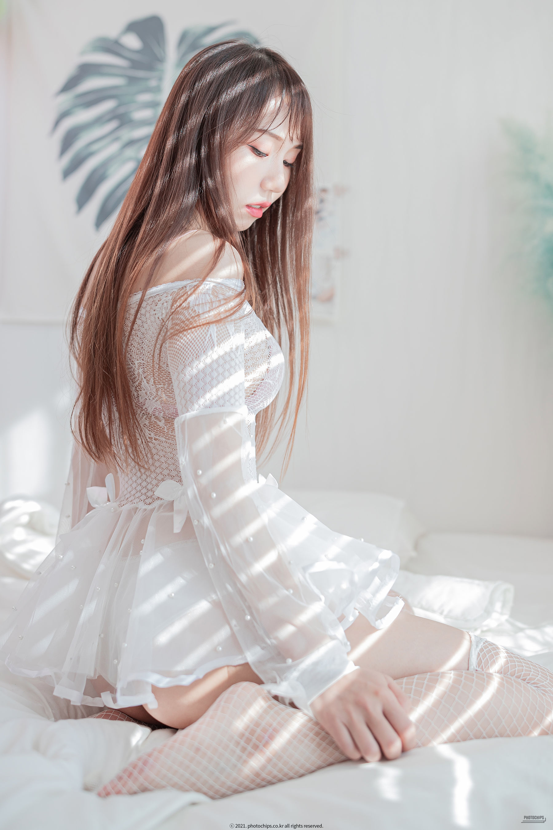 [Photochips] Usagi - White panty/(85P)