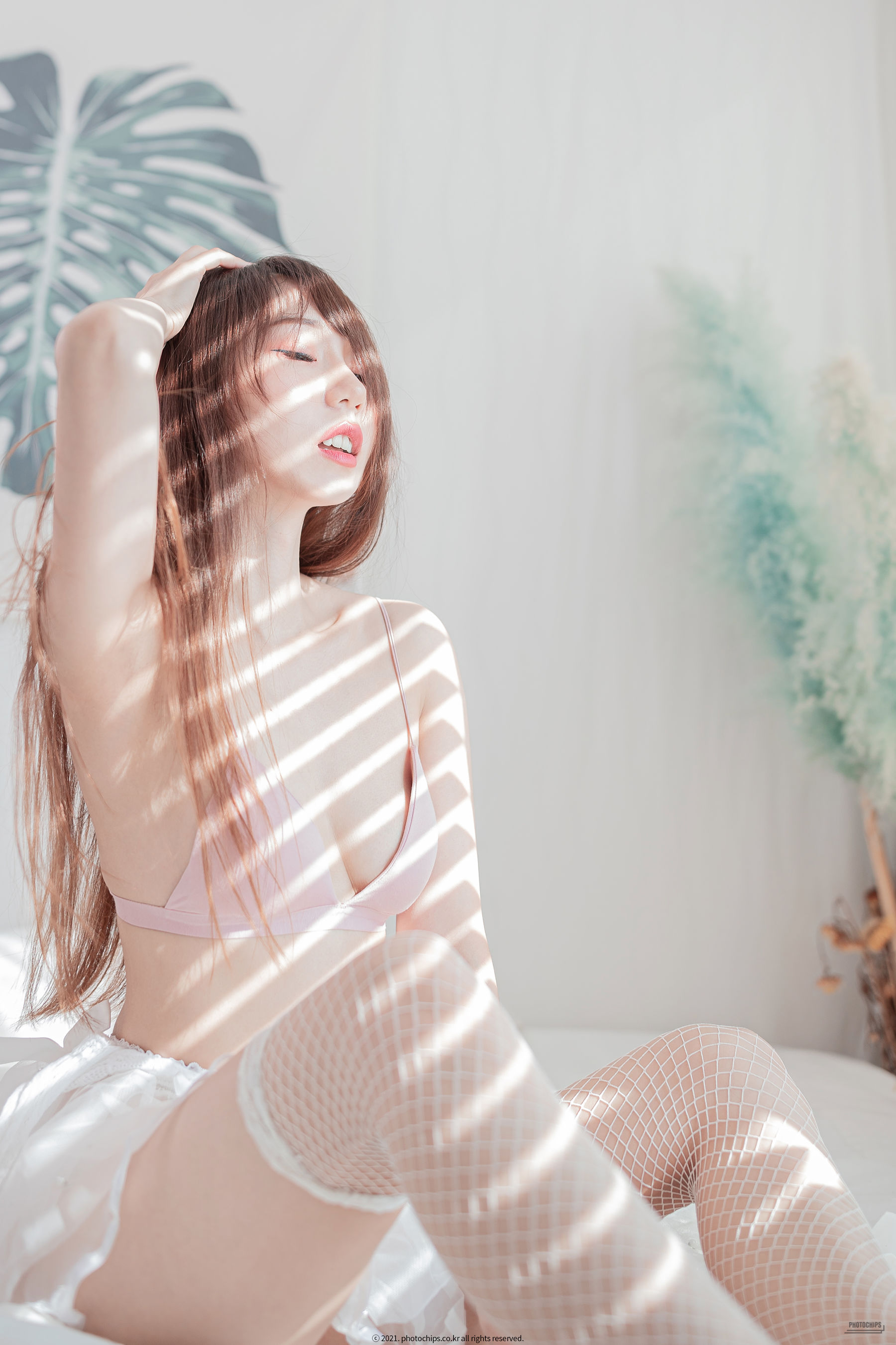 [Photochips] Usagi - White panty/(85P)