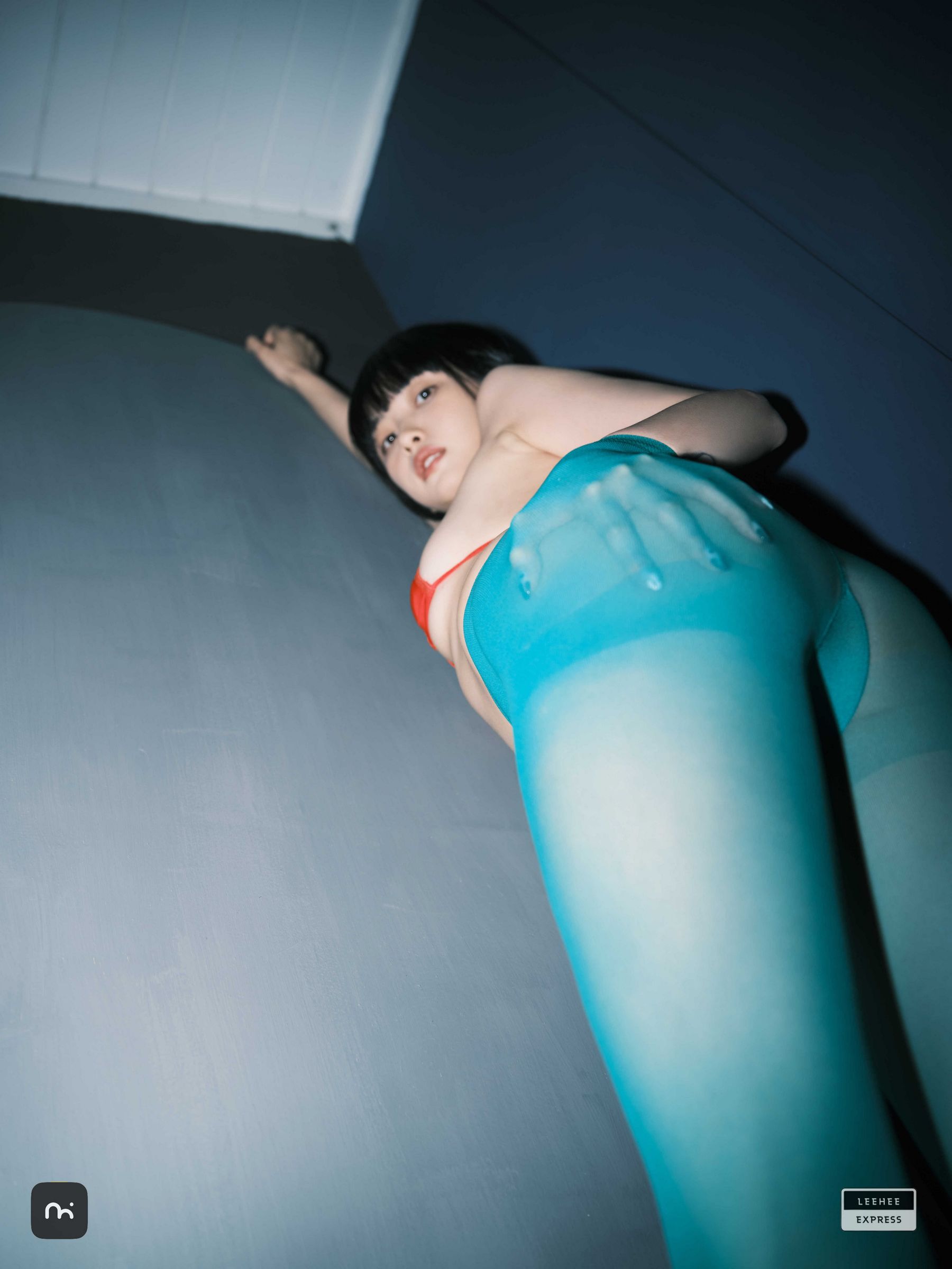 [LEEHEE EXPRESS] LEDG-195C - GMS/(54P)