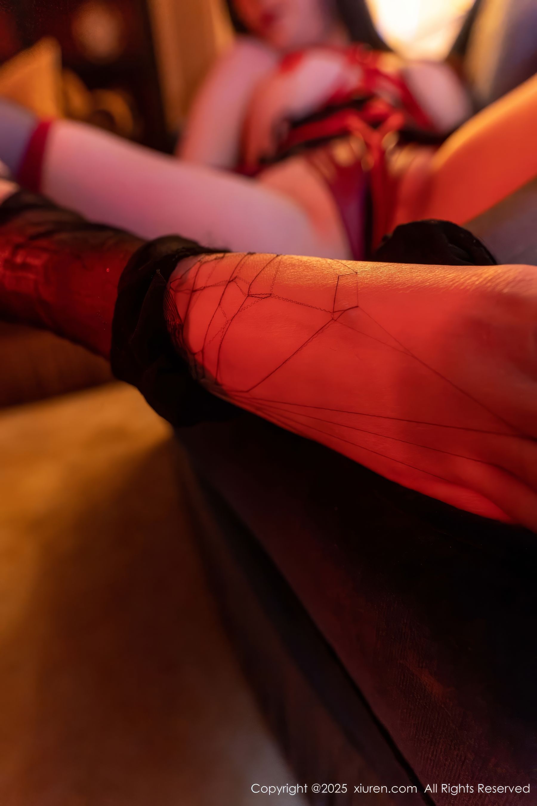 [秀人XiuRen] 2025.02.17 No.9891 软情/(90P)