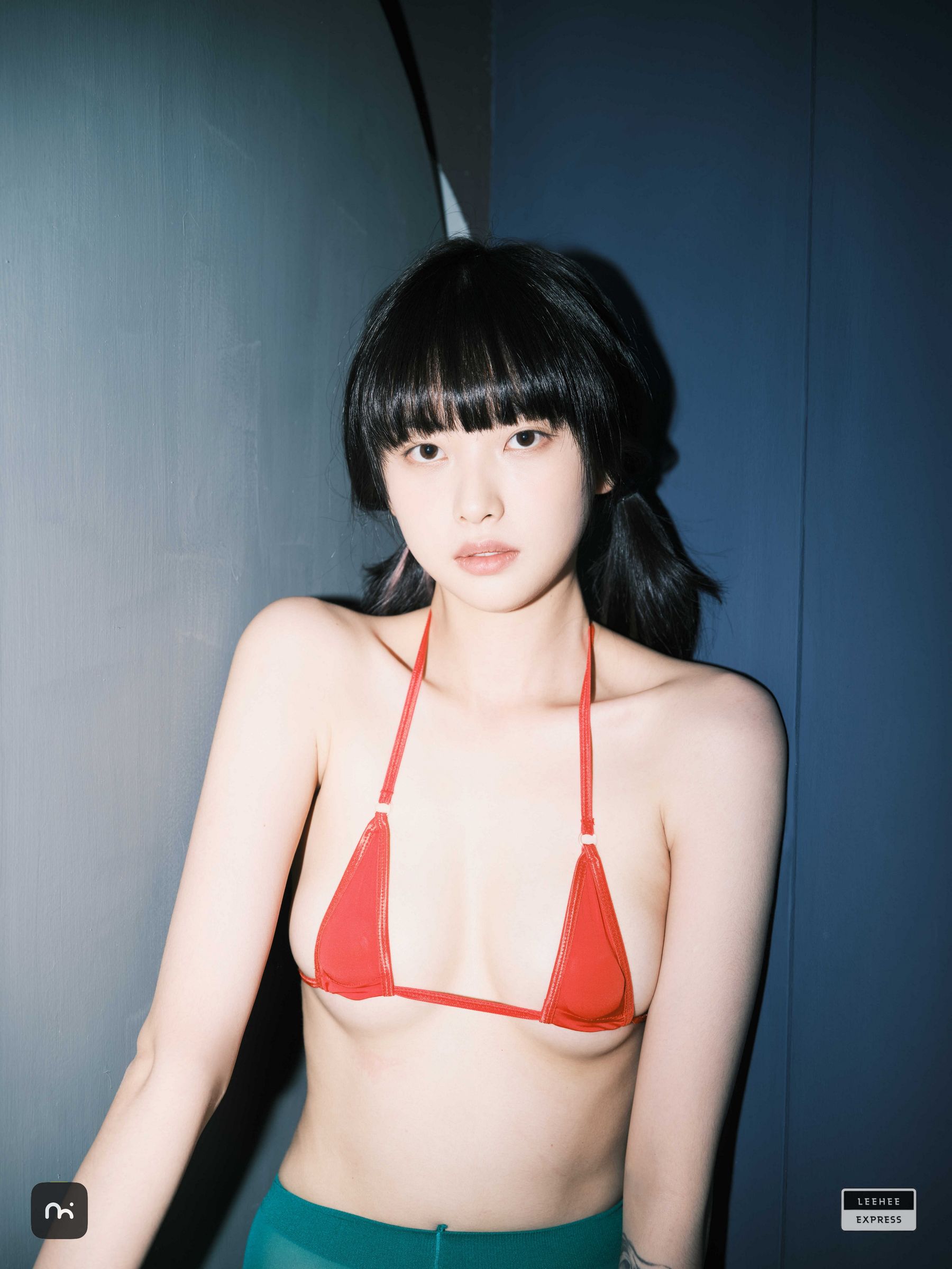 [LEEHEE EXPRESS] LEDG-195C - GMS/(54P)