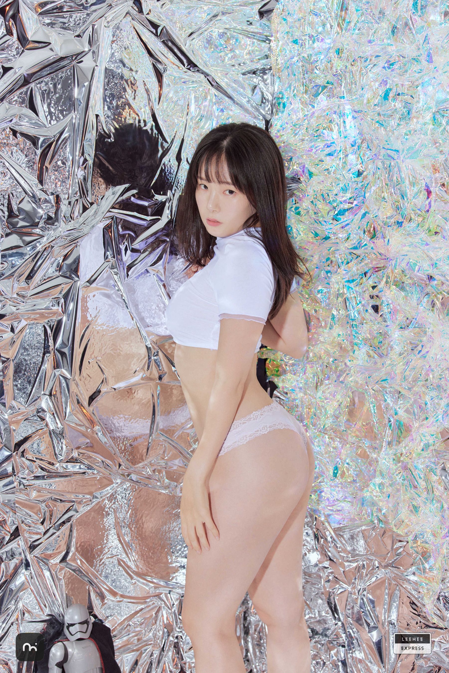 [LEEHEE EXPRESS] LEHF-252 - Sir.Bean/(70P)