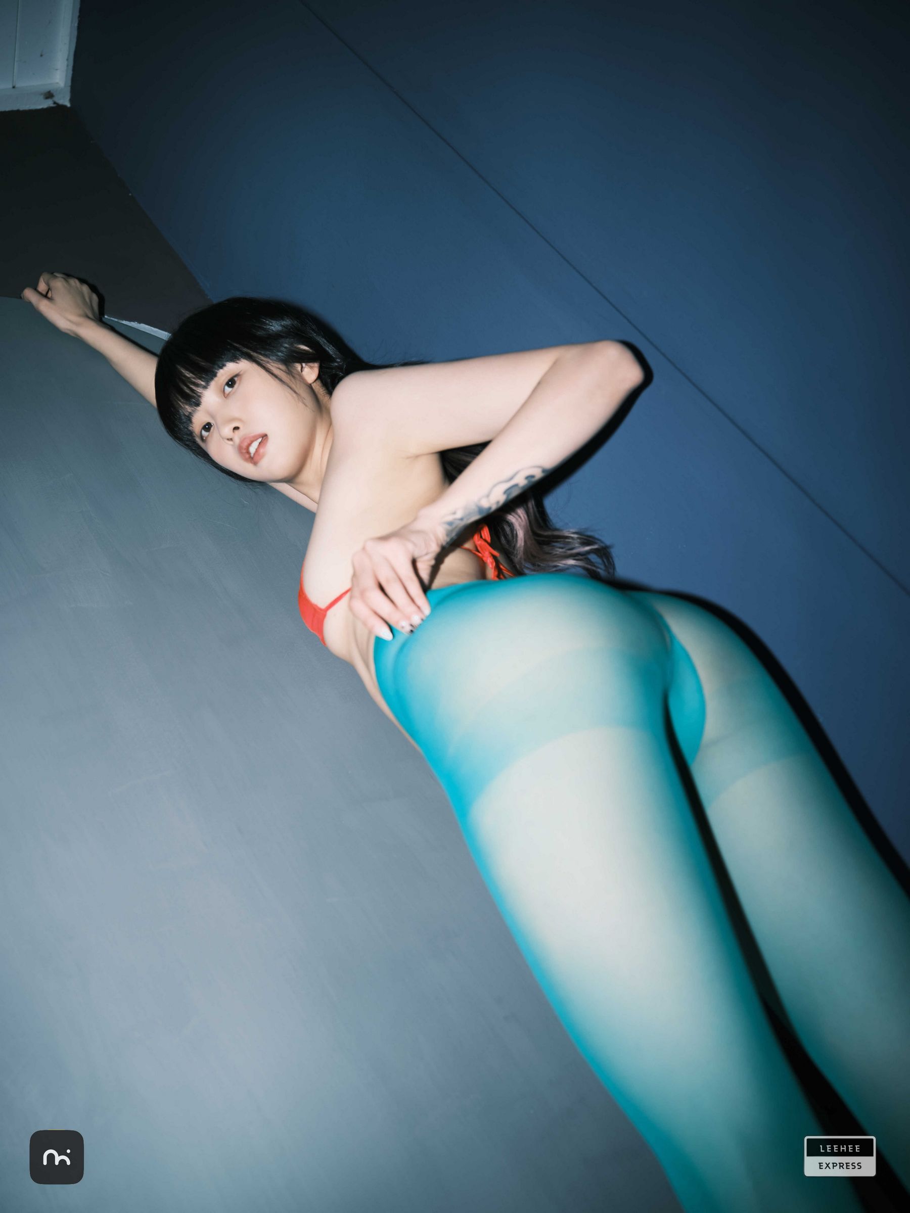 [LEEHEE EXPRESS] LEDG-195C - GMS/(54P)