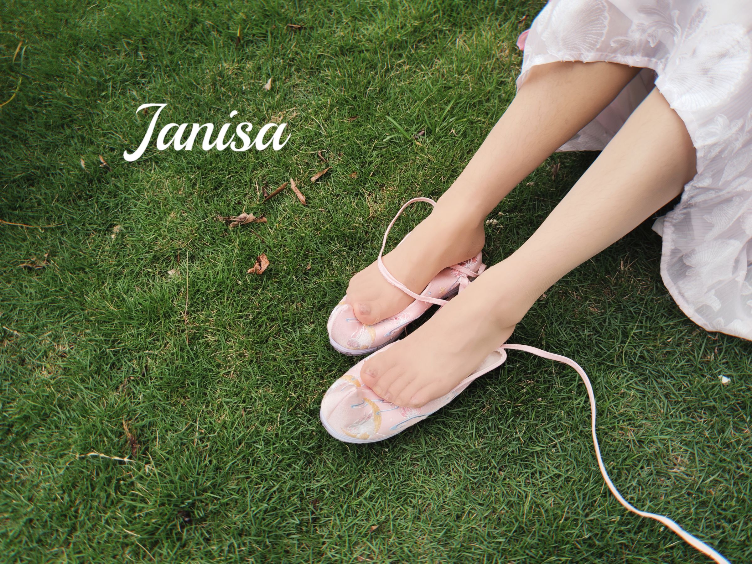 Janisa - 云想衣裳/(20P)
