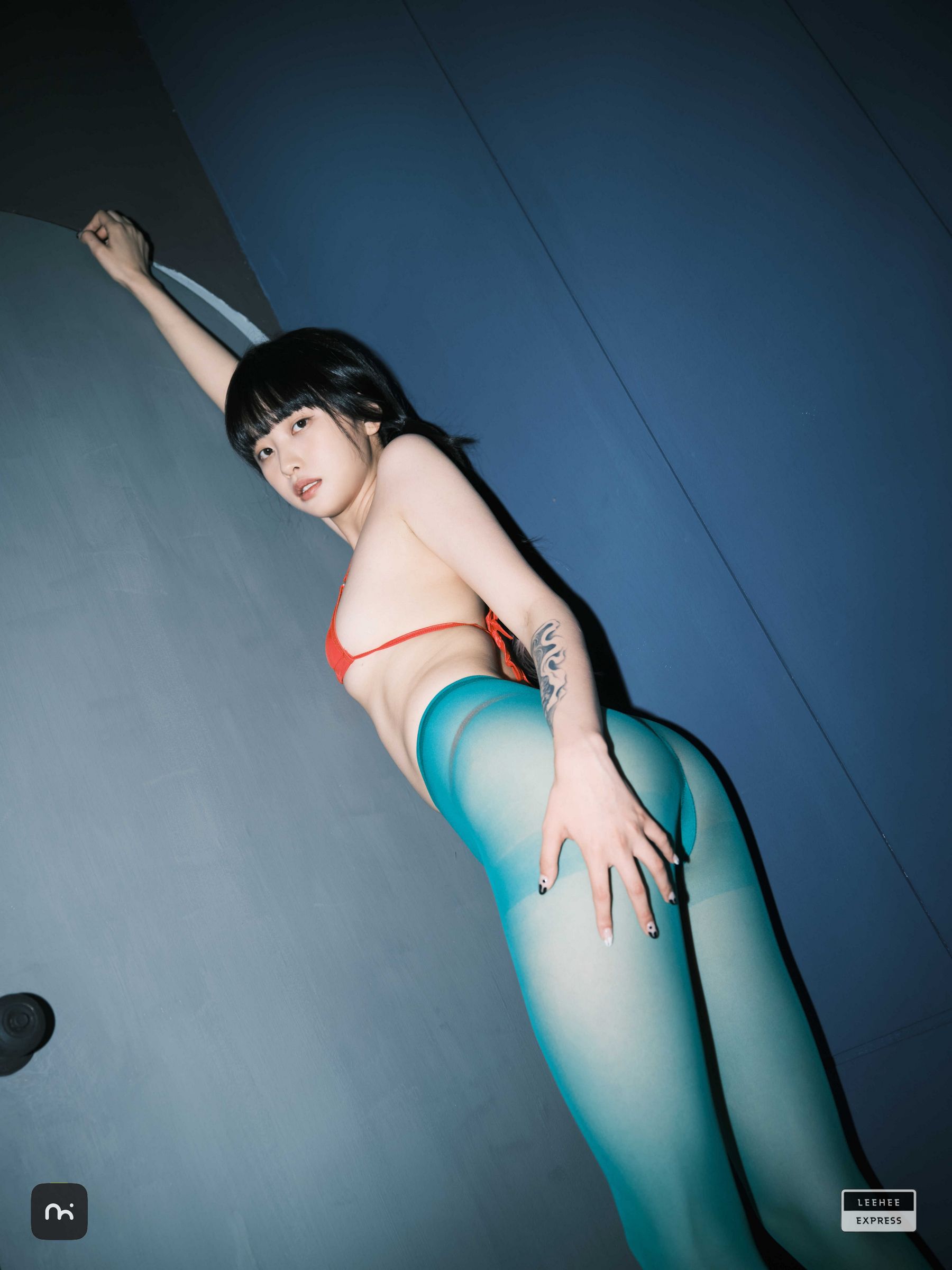 [LEEHEE EXPRESS] LEDG-195C - GMS/(54P)