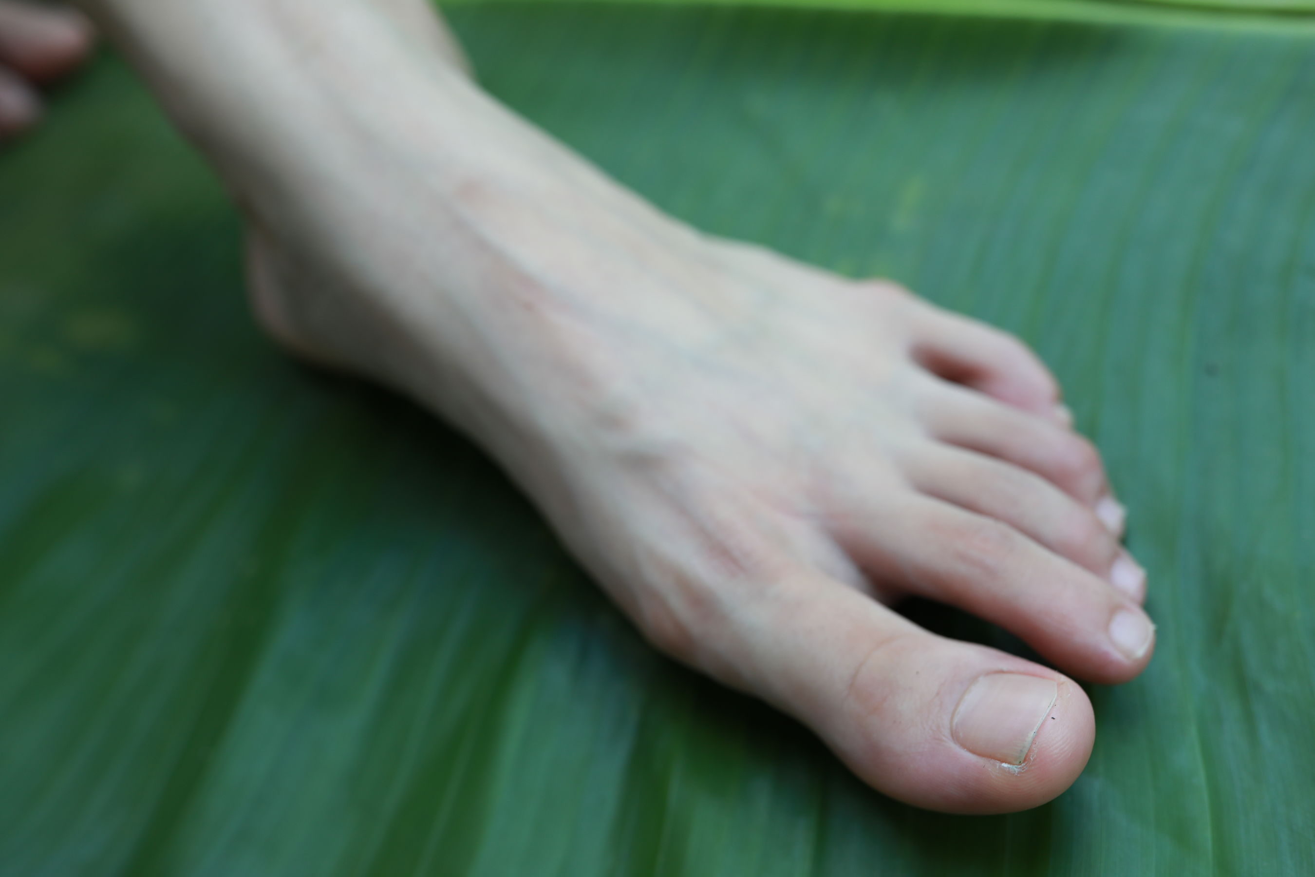 [MZSOCK]爱美足 No.289 可可/(81P)