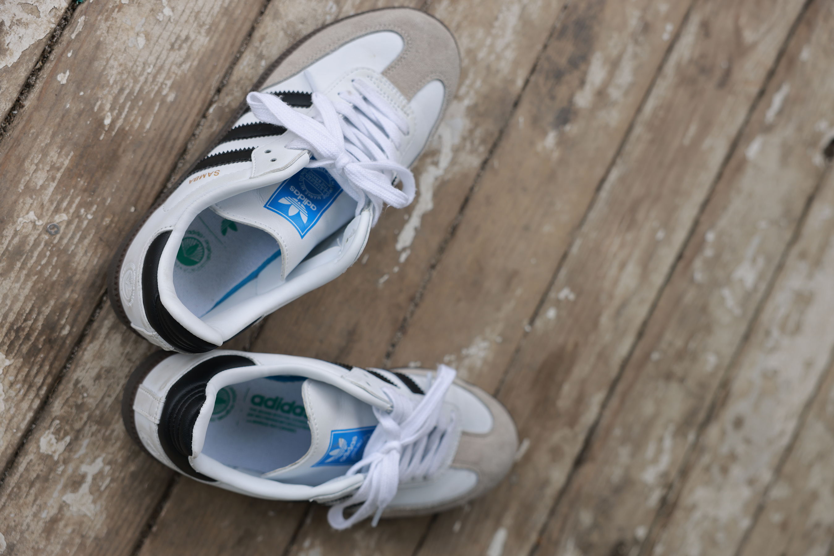 [MZSOCK]爱美足 No.282 梦瑶/(112P)