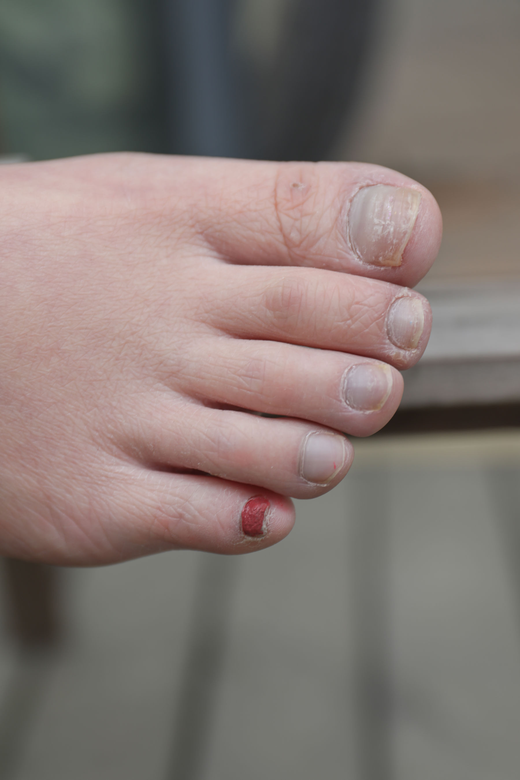 [MZSOCK]爱美足 No.294 梦琪/(80P)