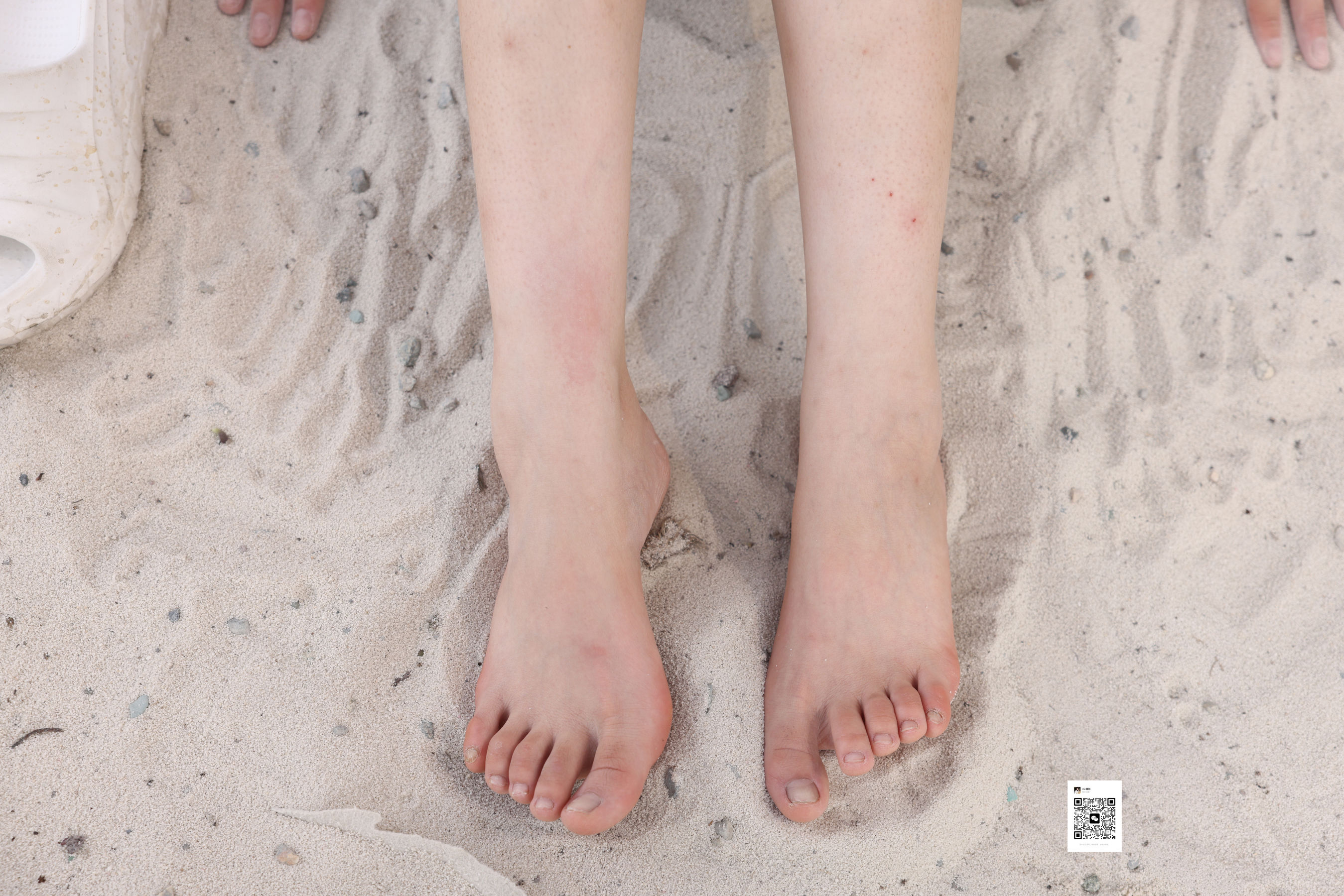 [MZSOCK]爱美足 No.296 维尼/(107P)