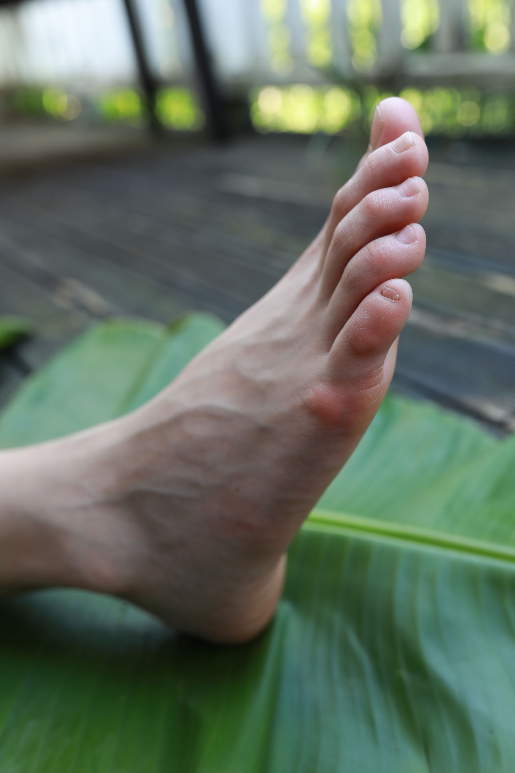 [MZSOCK]爱美足 No.289 可可/(81P)