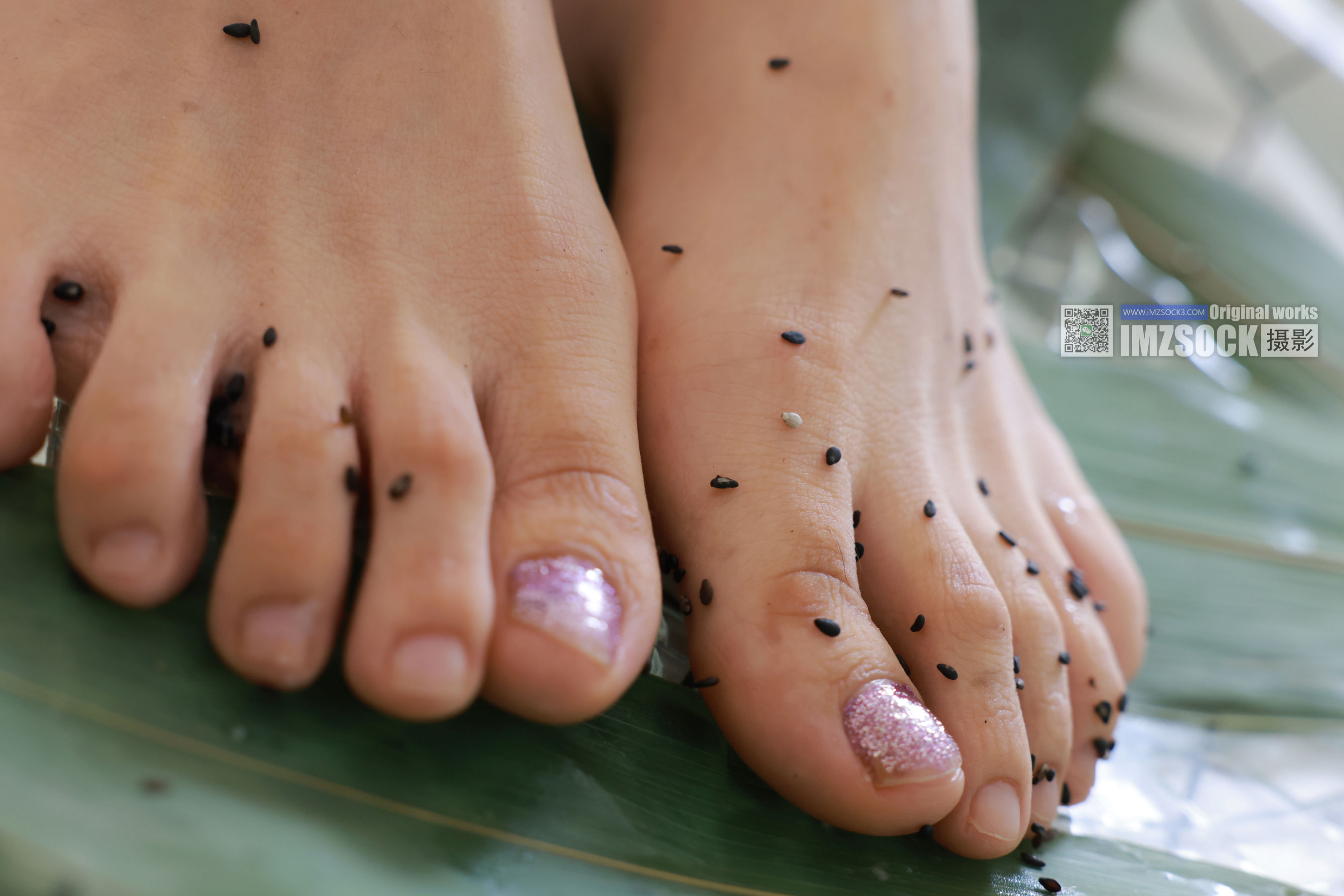 [MZSOCK]爱美足 No.308 倩儿/(116P)