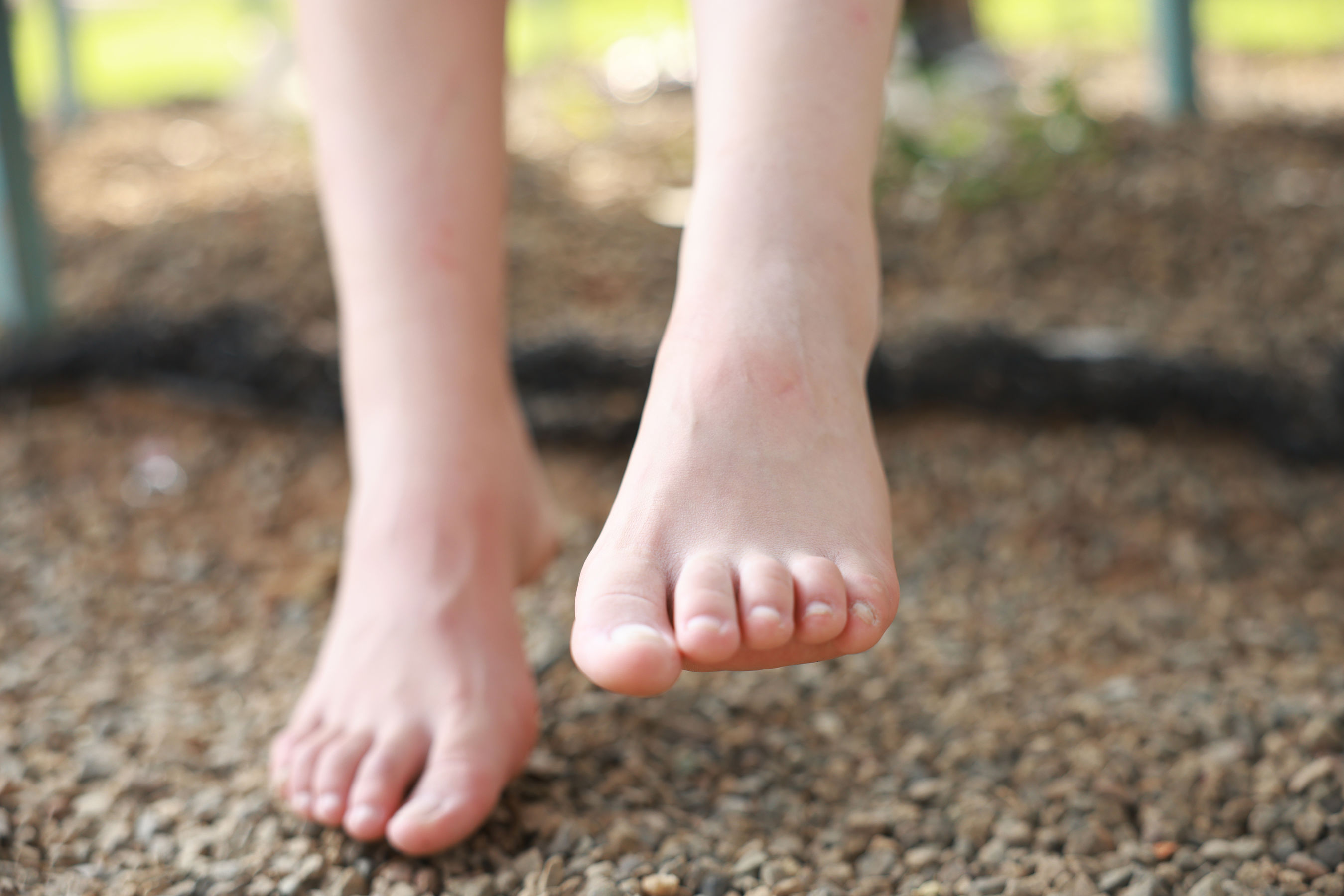 [MZSOCK]爱美足 No.284 维尼/(104P)