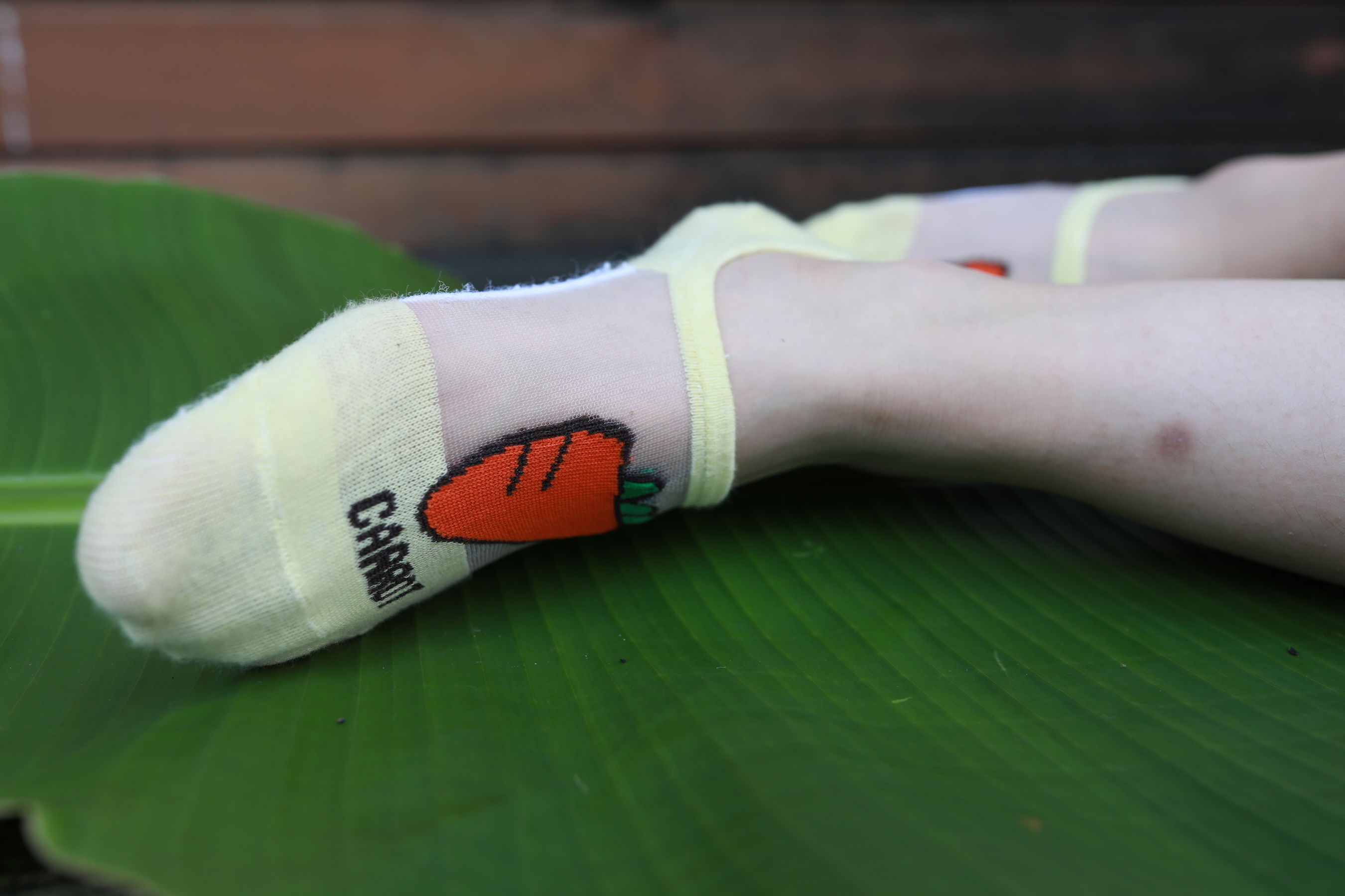 [MZSOCK]爱美足 No.289 可可/(81P)