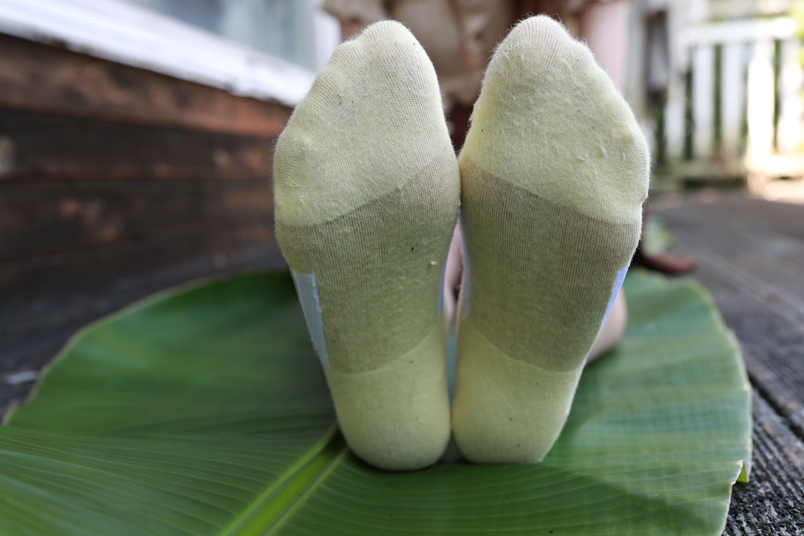 [MZSOCK]爱美足 No.289 可可/(81P)