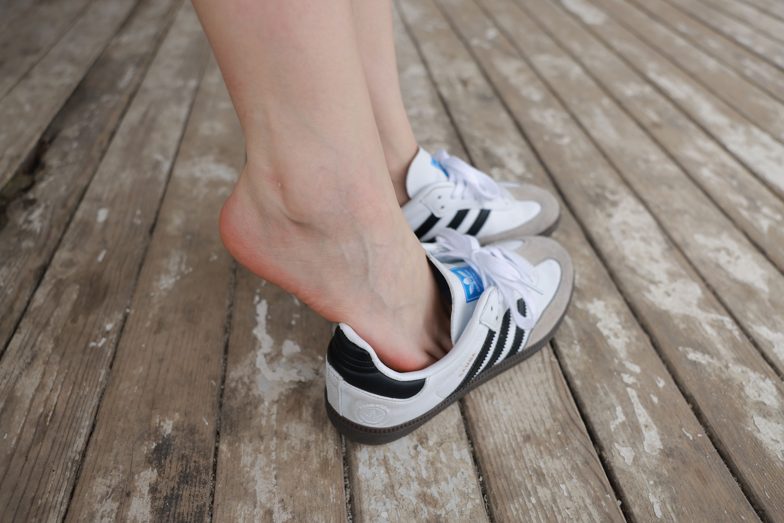 [MZSOCK]爱美足 No.282 梦瑶/(112P)