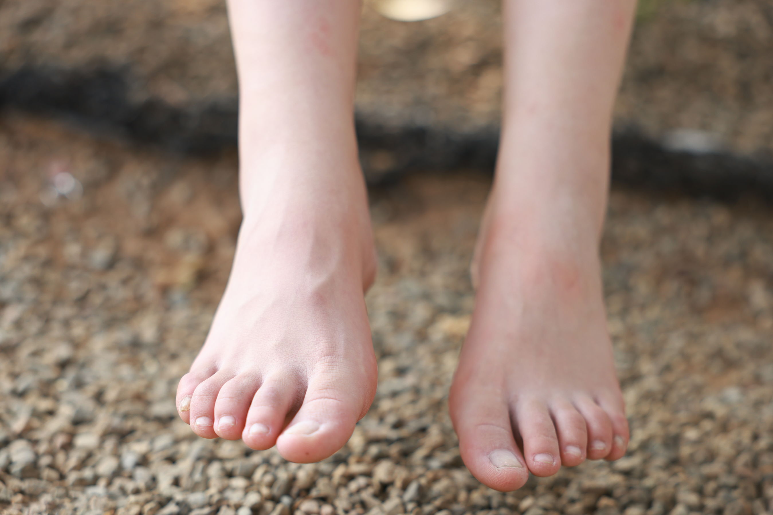 [MZSOCK]爱美足 No.284 维尼/(104P)