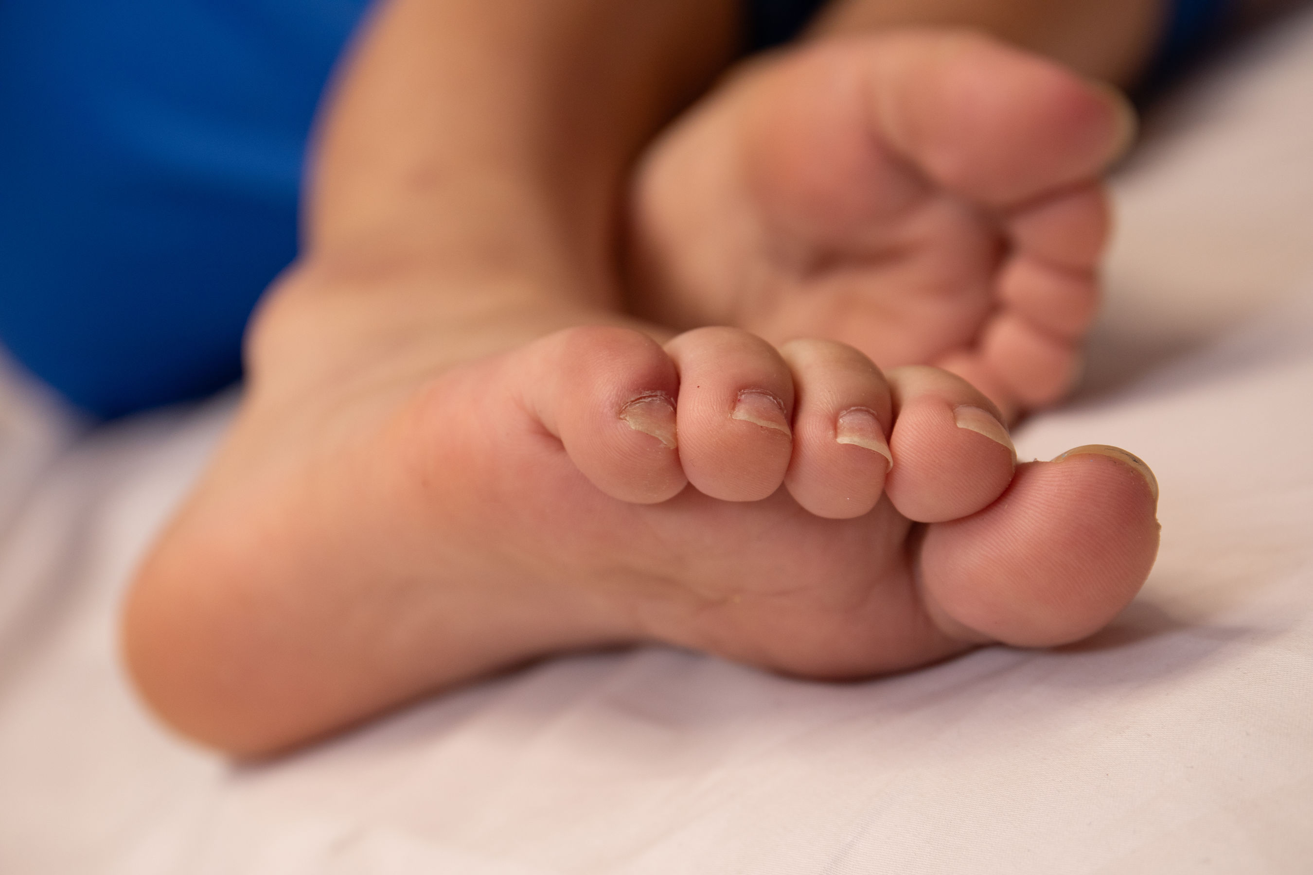 [MZSOCK]爱美足 No.278 露露/(92P)