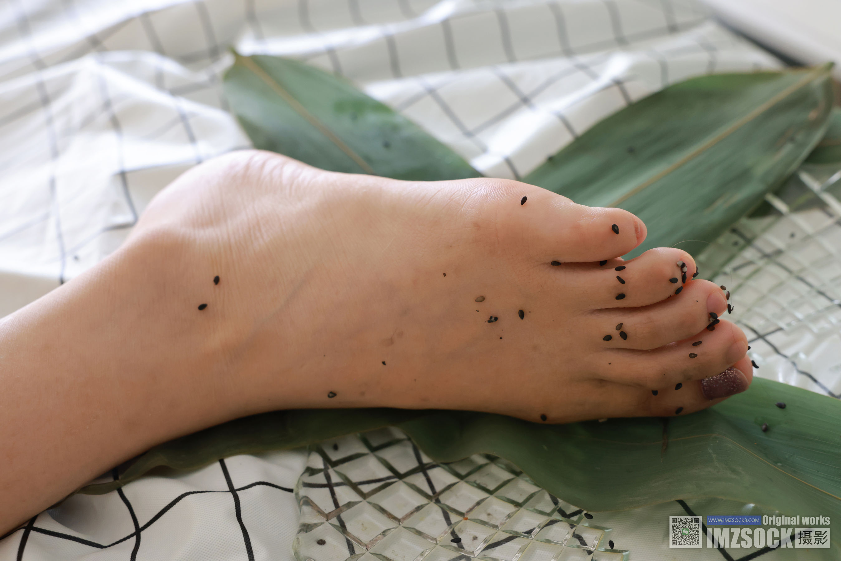 [MZSOCK]爱美足 No.308 倩儿/(116P)