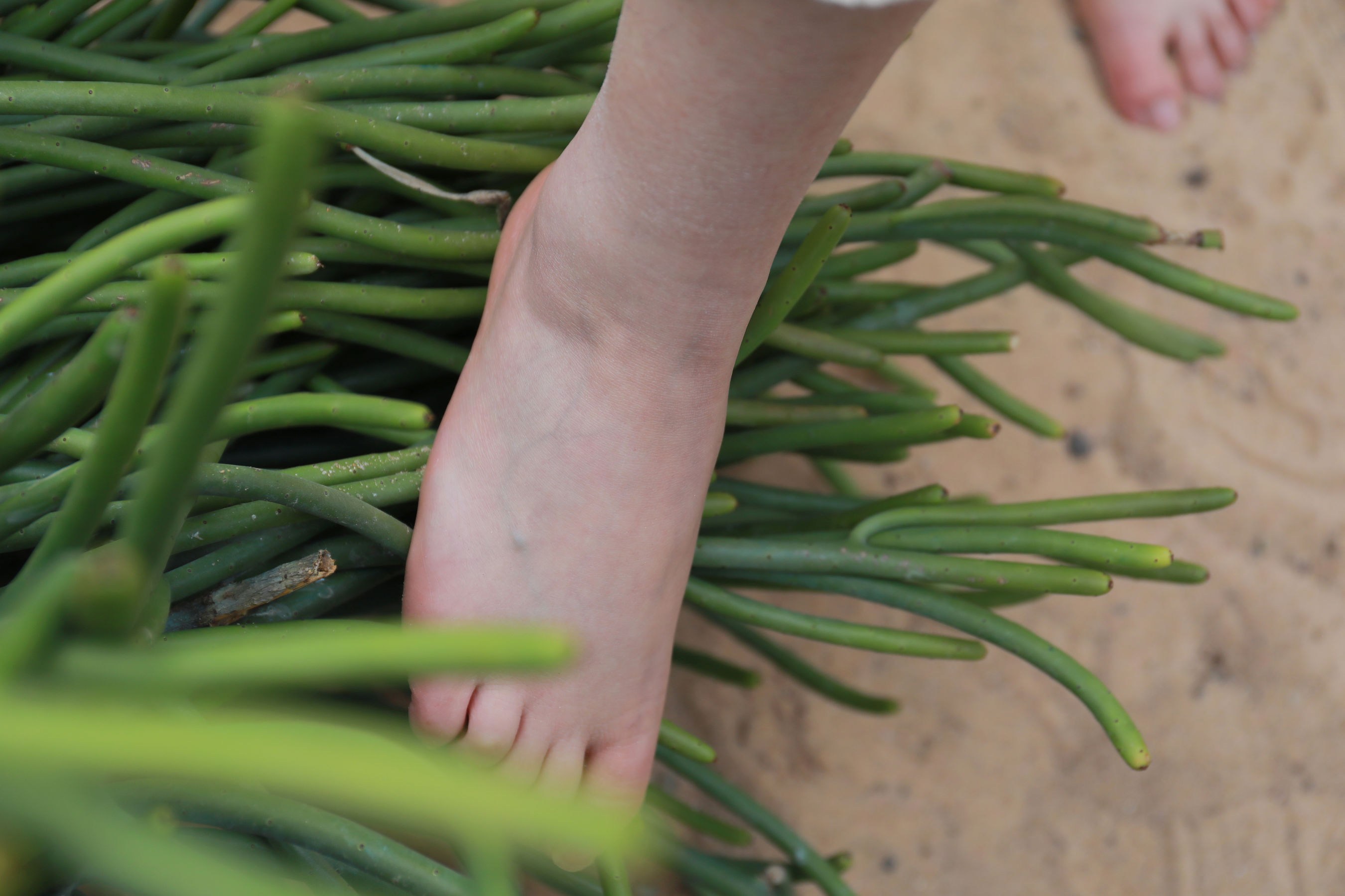 [MZSOCK]爱美足 No.274 小天/(127P)