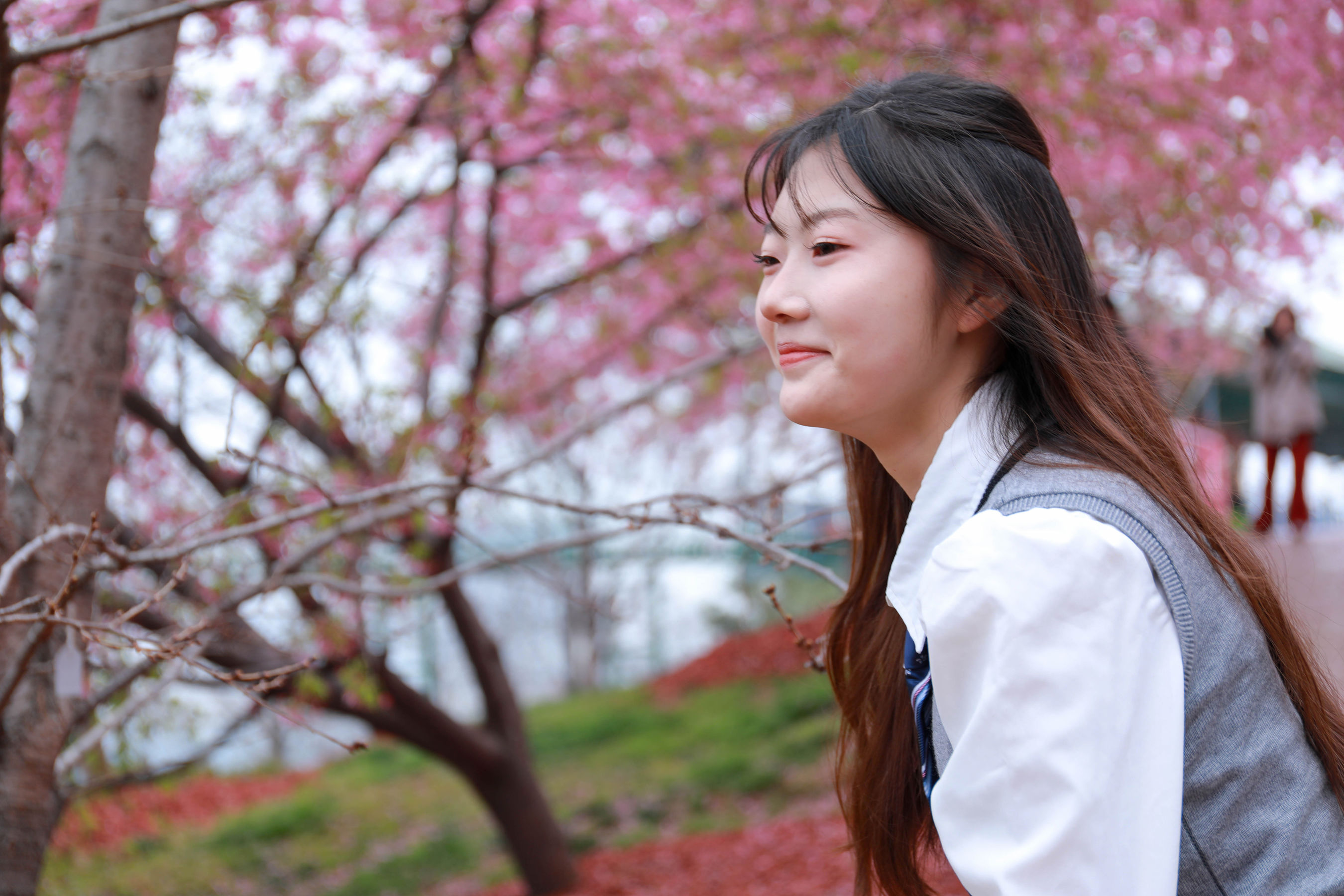 [MZSOCK]爱美足 No.273 小天/(104P)