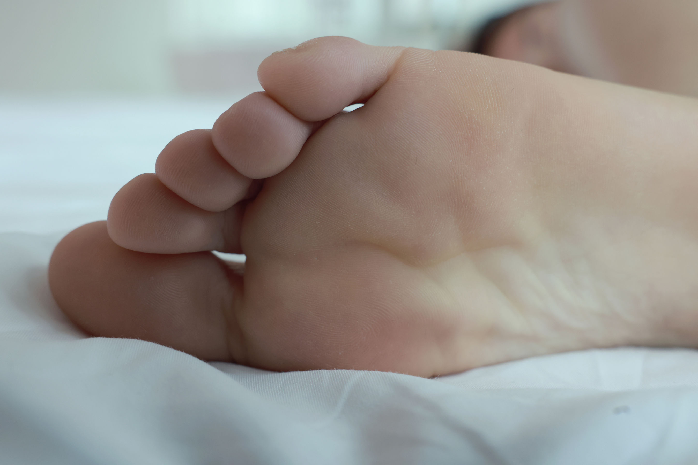 [MZSOCK]爱美足 No.240 迪佳/(80P)